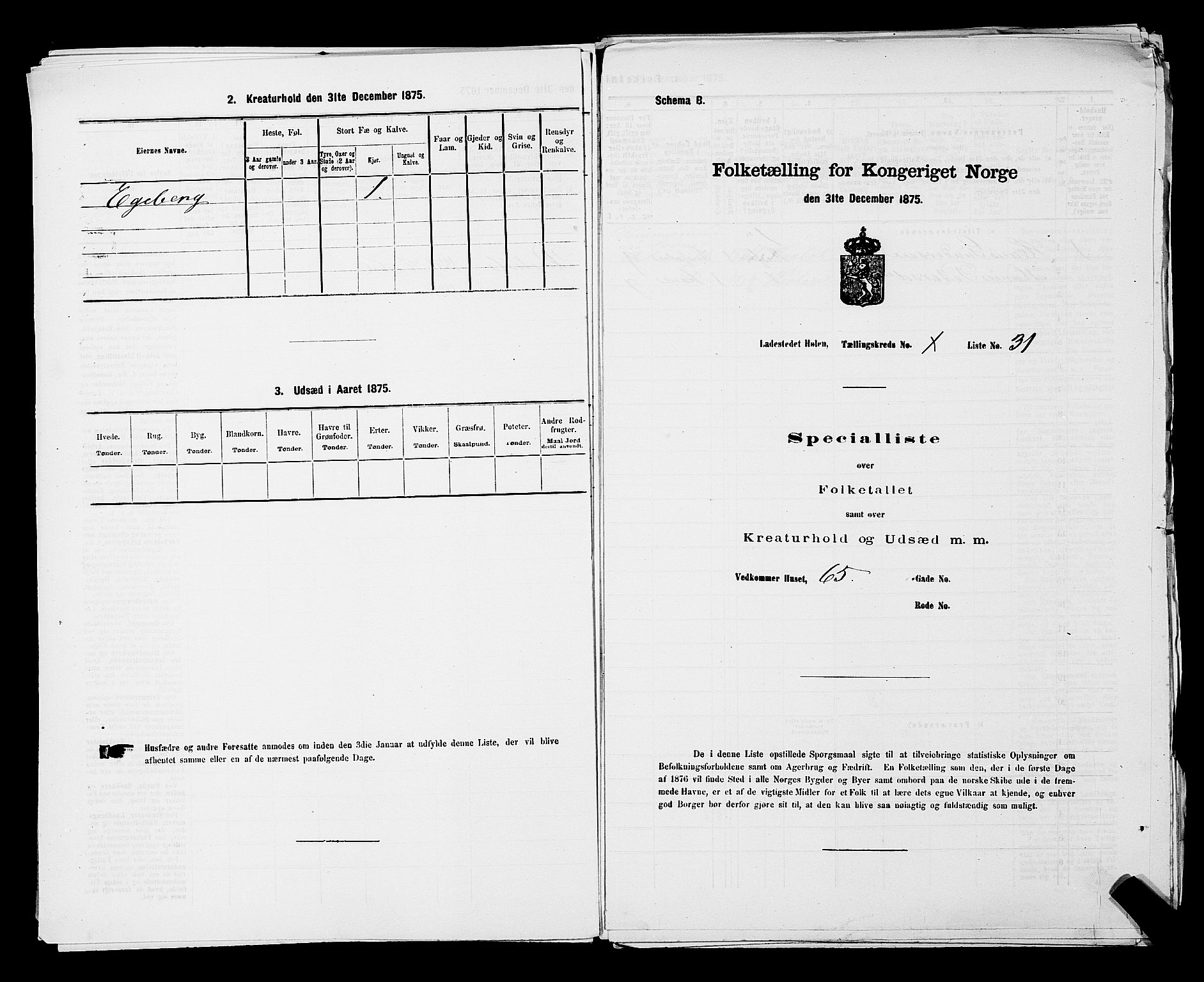 RA, Folketelling 1875 for 0204B Vestby prestegjeld, Hølen ladested, 1875, s. 11