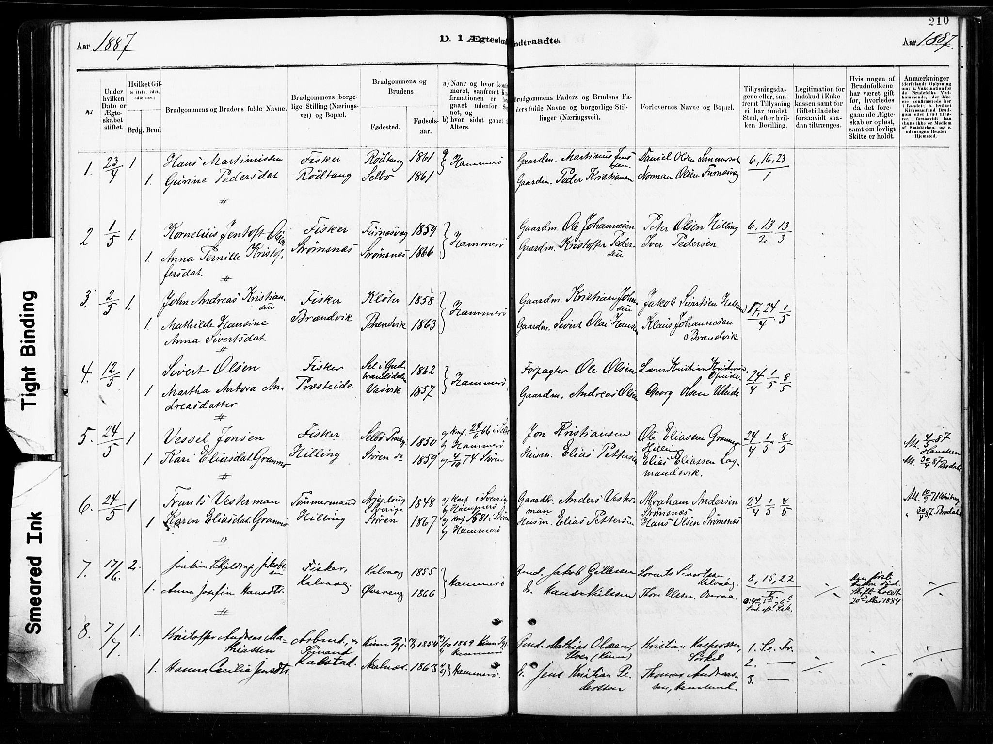 Ministerialprotokoller, klokkerbøker og fødselsregistre - Nordland, AV/SAT-A-1459/859/L0846: Ministerialbok nr. 859A06, 1878-1889, s. 210