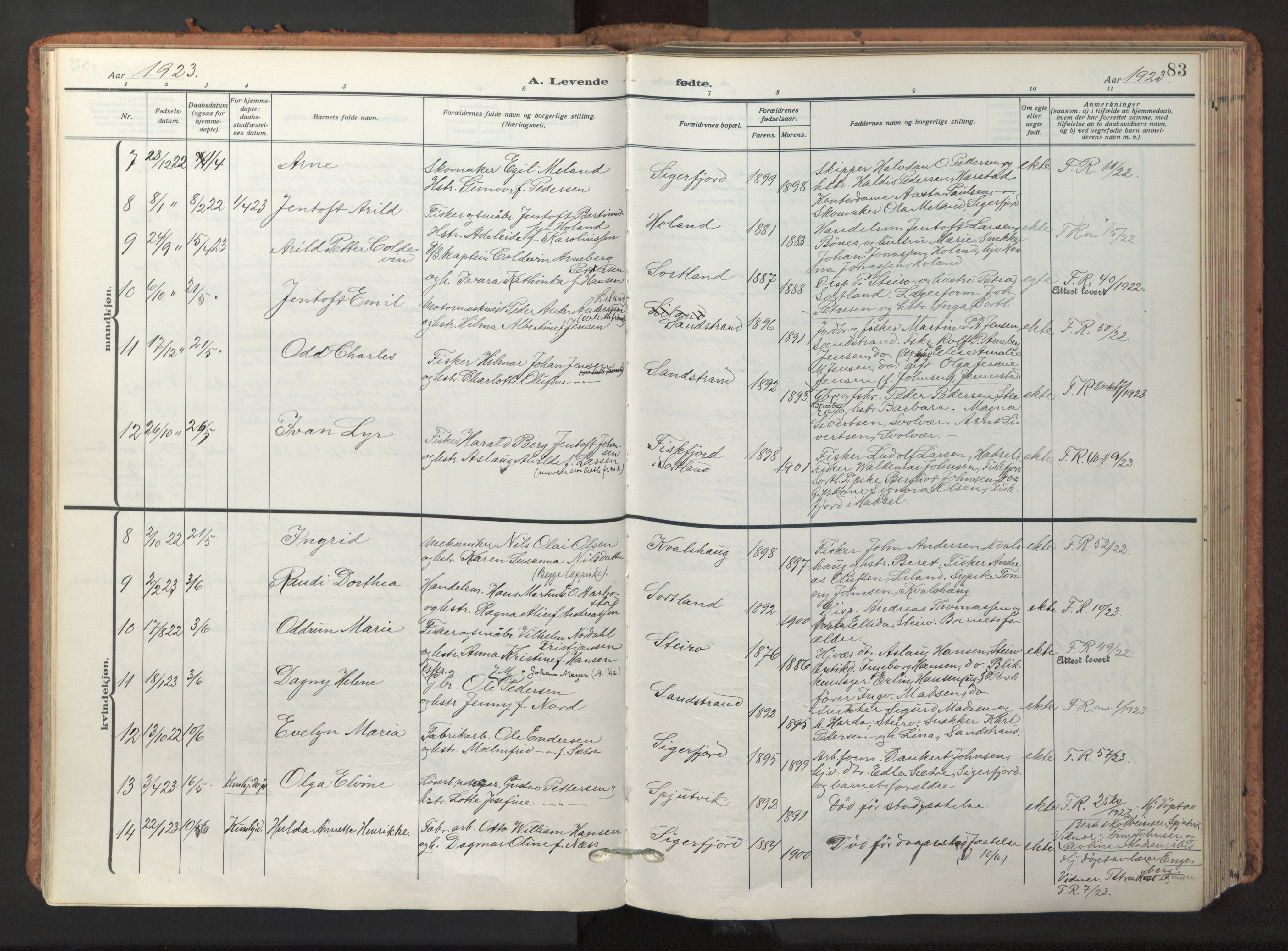 Ministerialprotokoller, klokkerbøker og fødselsregistre - Nordland, AV/SAT-A-1459/895/L1374: Ministerialbok nr. 895A09, 1915-1925, s. 83