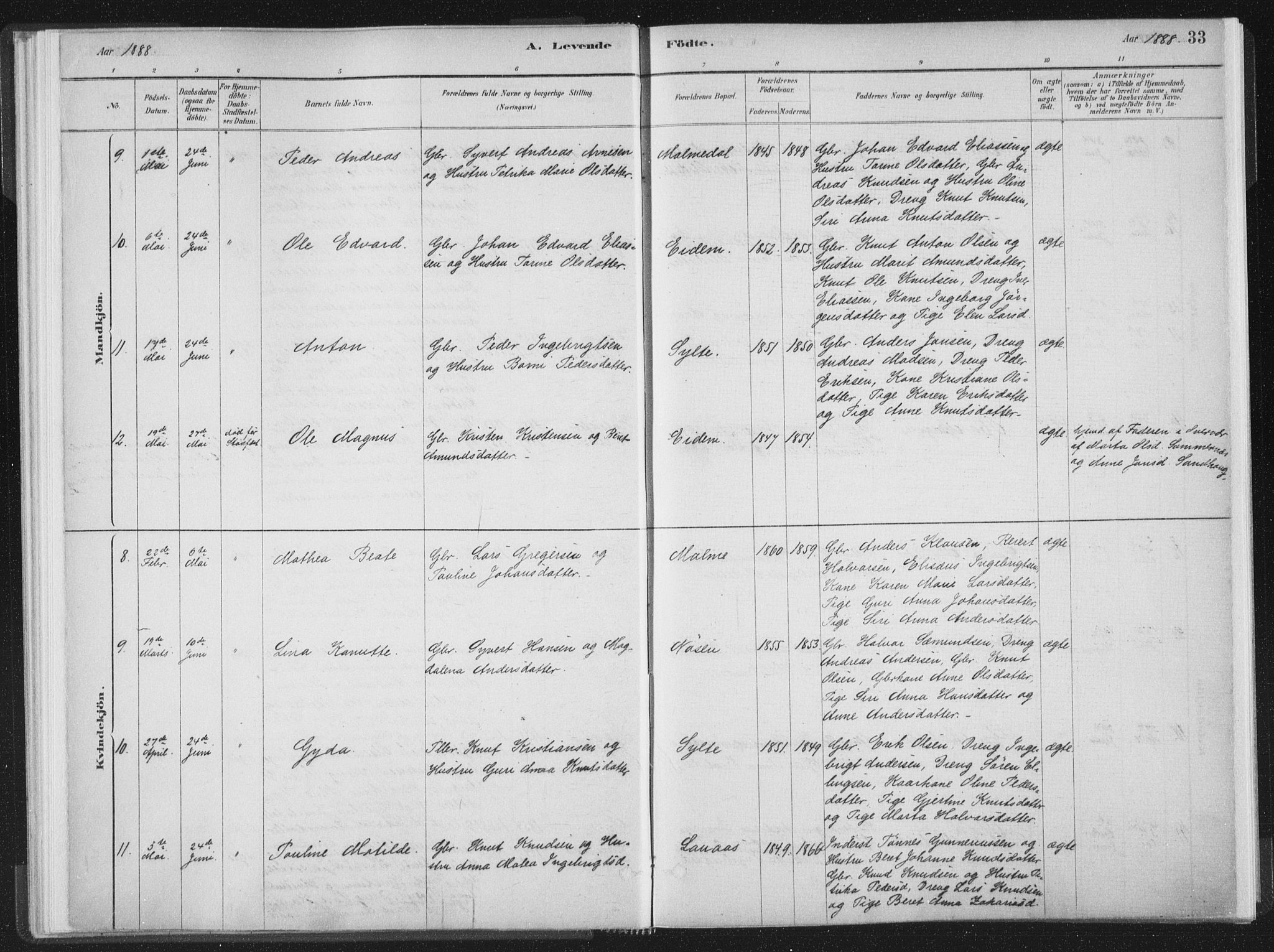 Ministerialprotokoller, klokkerbøker og fødselsregistre - Møre og Romsdal, AV/SAT-A-1454/564/L0740: Ministerialbok nr. 564A01, 1880-1899, s. 33