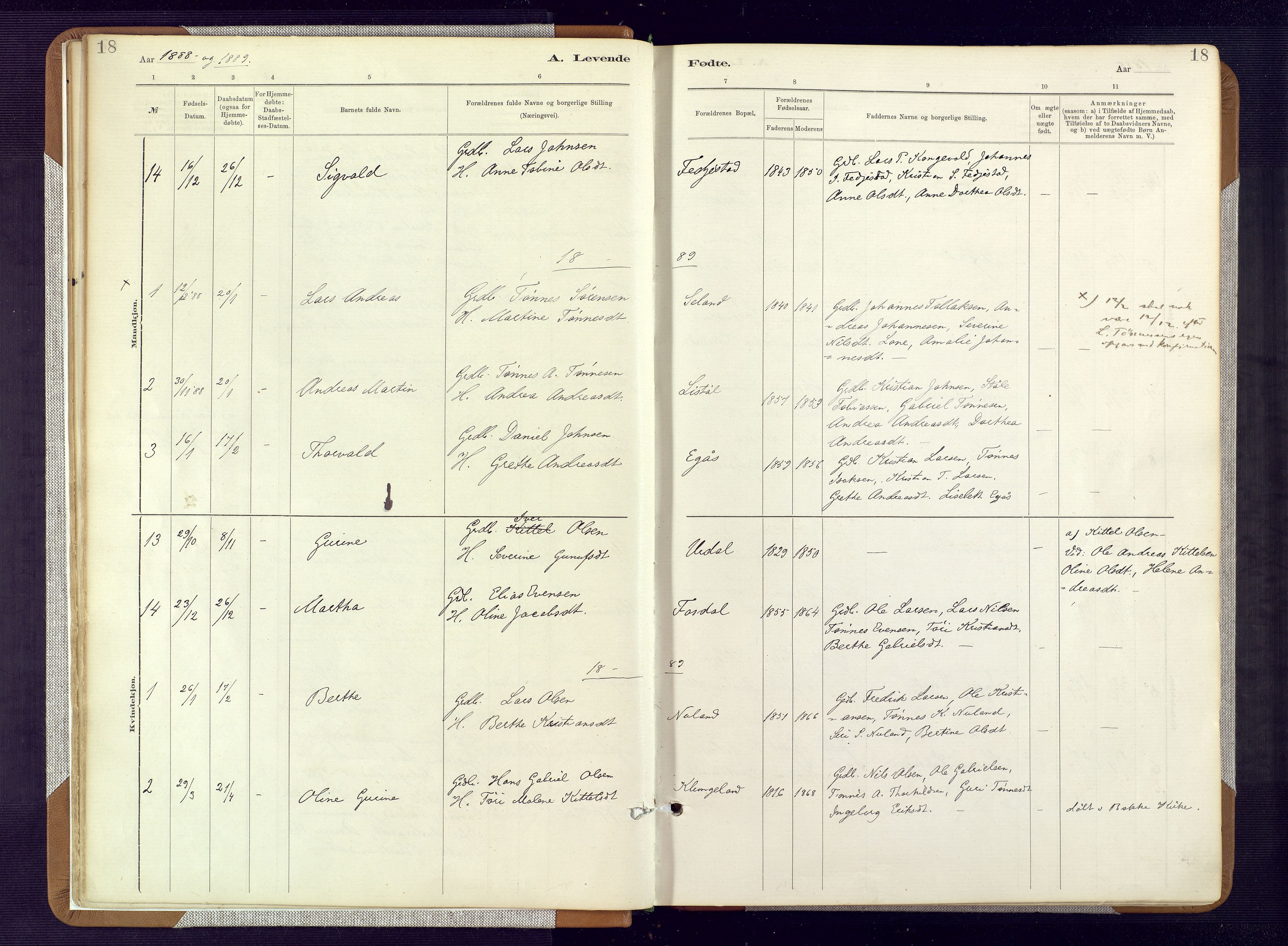 Bakke sokneprestkontor, AV/SAK-1111-0002/F/Fa/Fab/L0003: Ministerialbok nr. A 3, 1884-1921, s. 18
