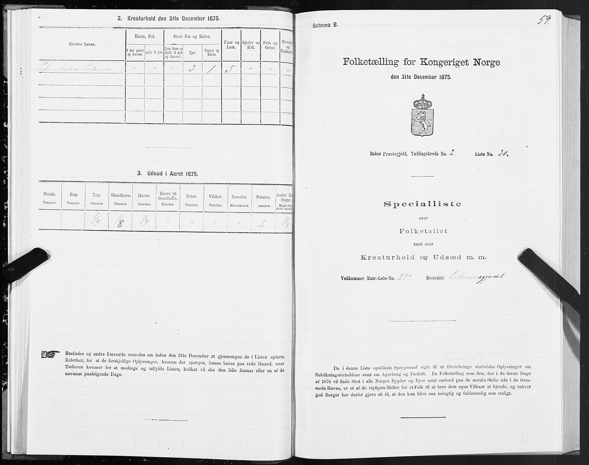 SAT, Folketelling 1875 for 1544P Bolsøy prestegjeld, 1875, s. 2059