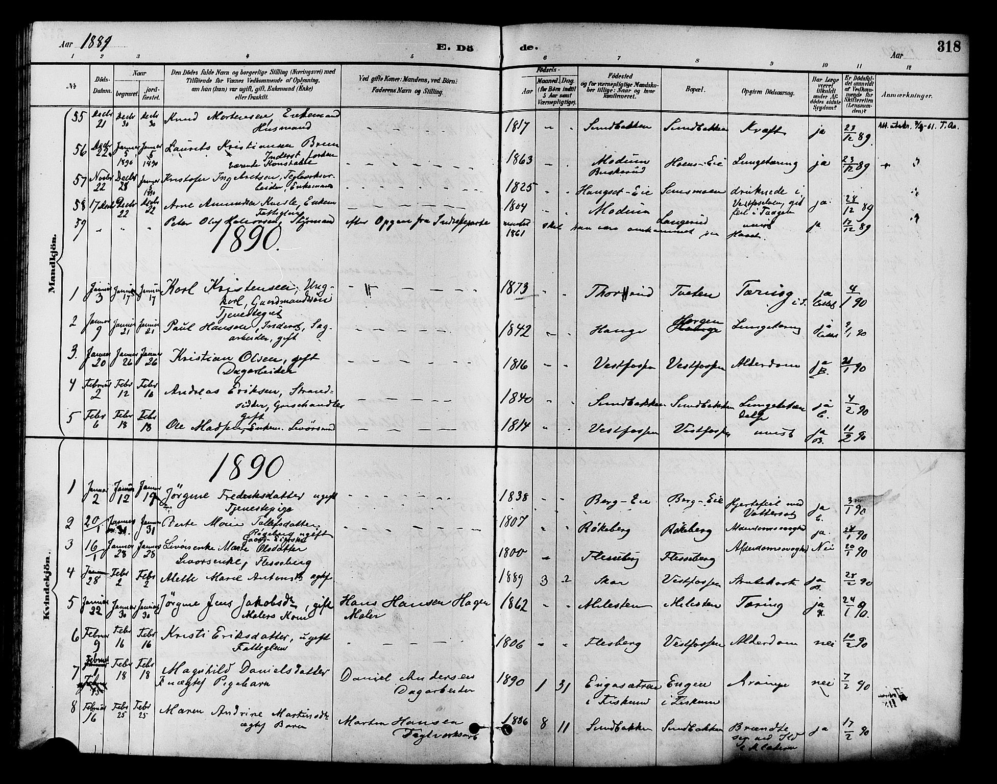 Eiker kirkebøker, AV/SAKO-A-4/F/Fb/L0002: Ministerialbok nr. II 2, 1889-1896, s. 318