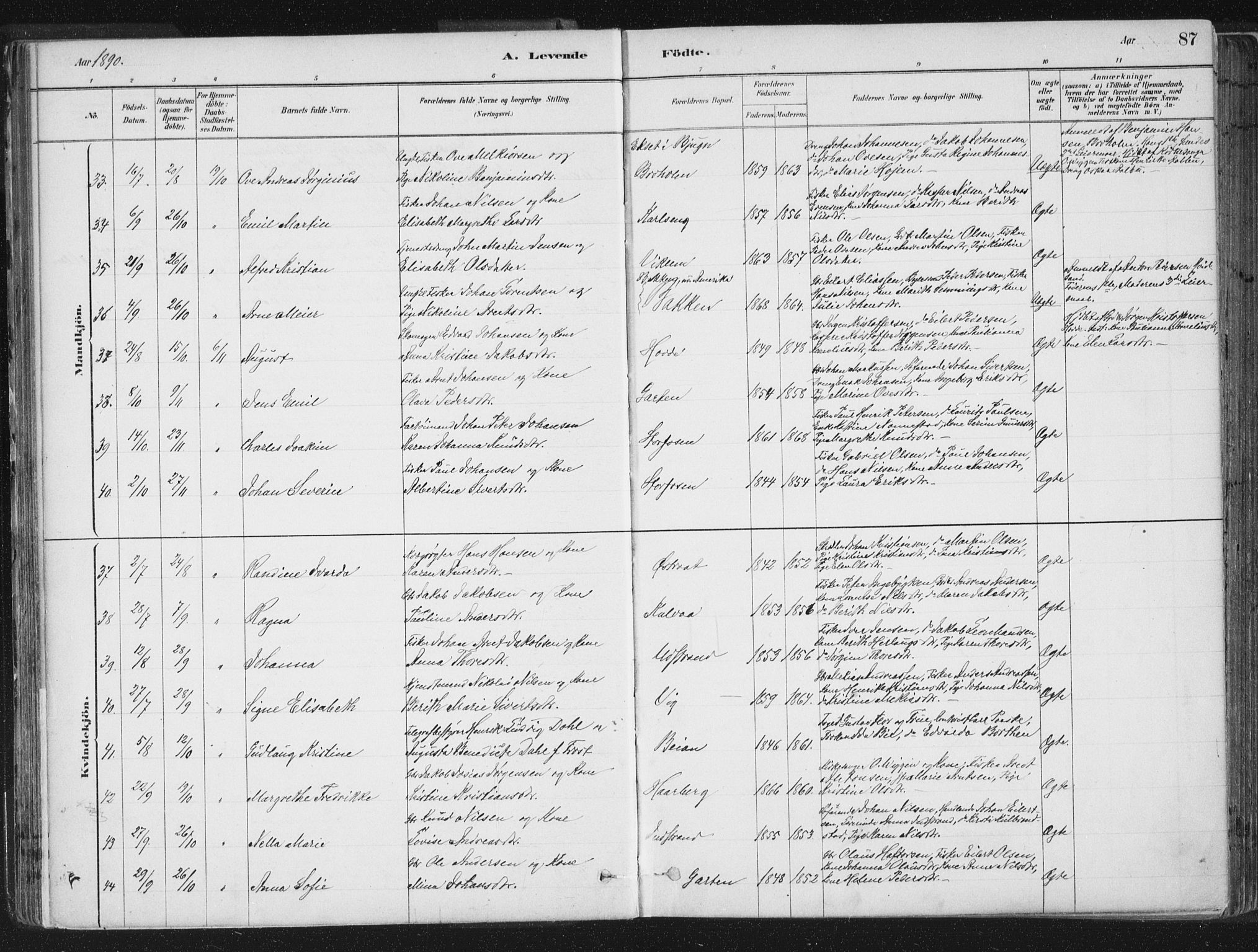 Ministerialprotokoller, klokkerbøker og fødselsregistre - Sør-Trøndelag, SAT/A-1456/659/L0739: Ministerialbok nr. 659A09, 1879-1893, s. 87