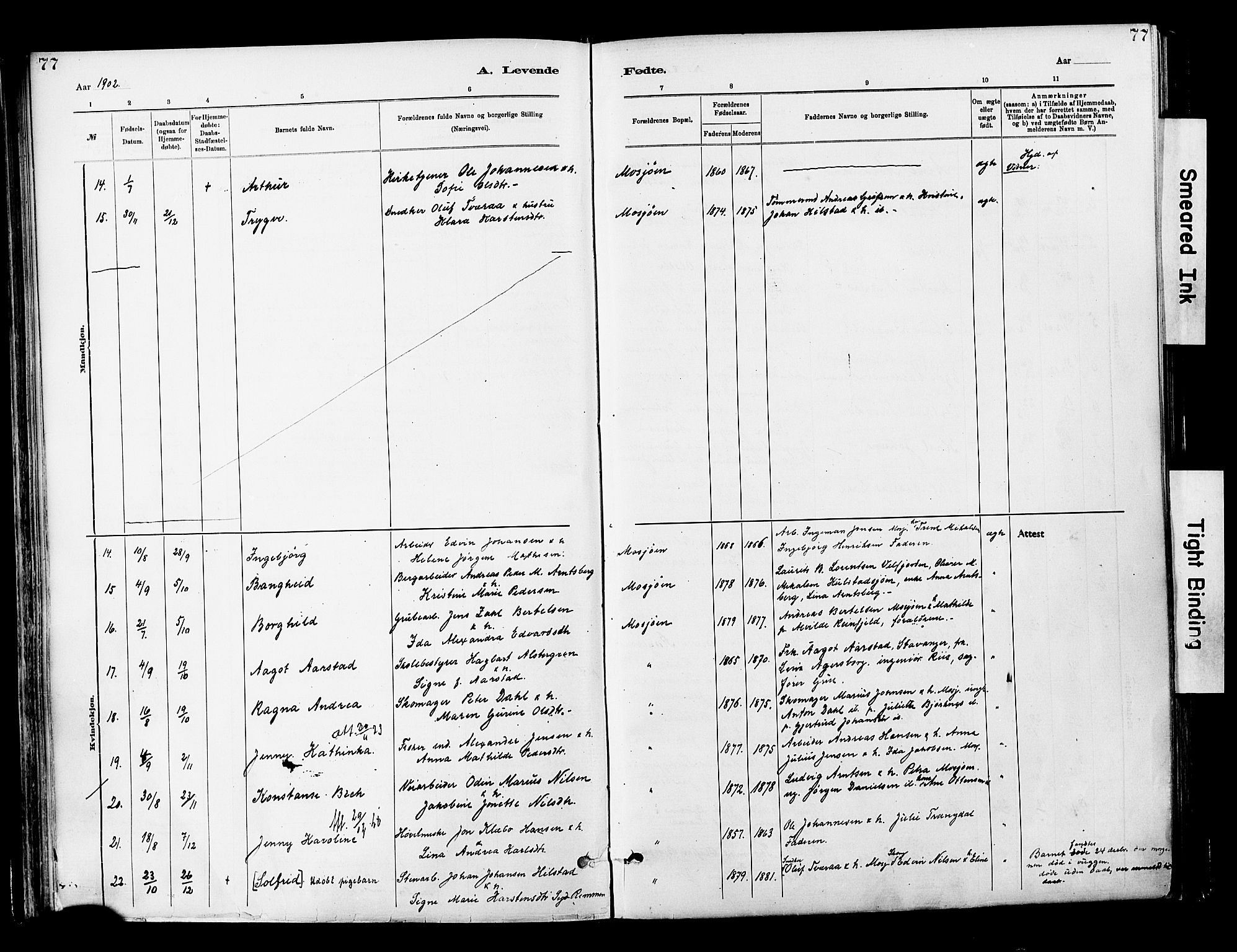 Ministerialprotokoller, klokkerbøker og fødselsregistre - Nordland, AV/SAT-A-1459/820/L0296: Ministerialbok nr. 820A17, 1880-1903, s. 77