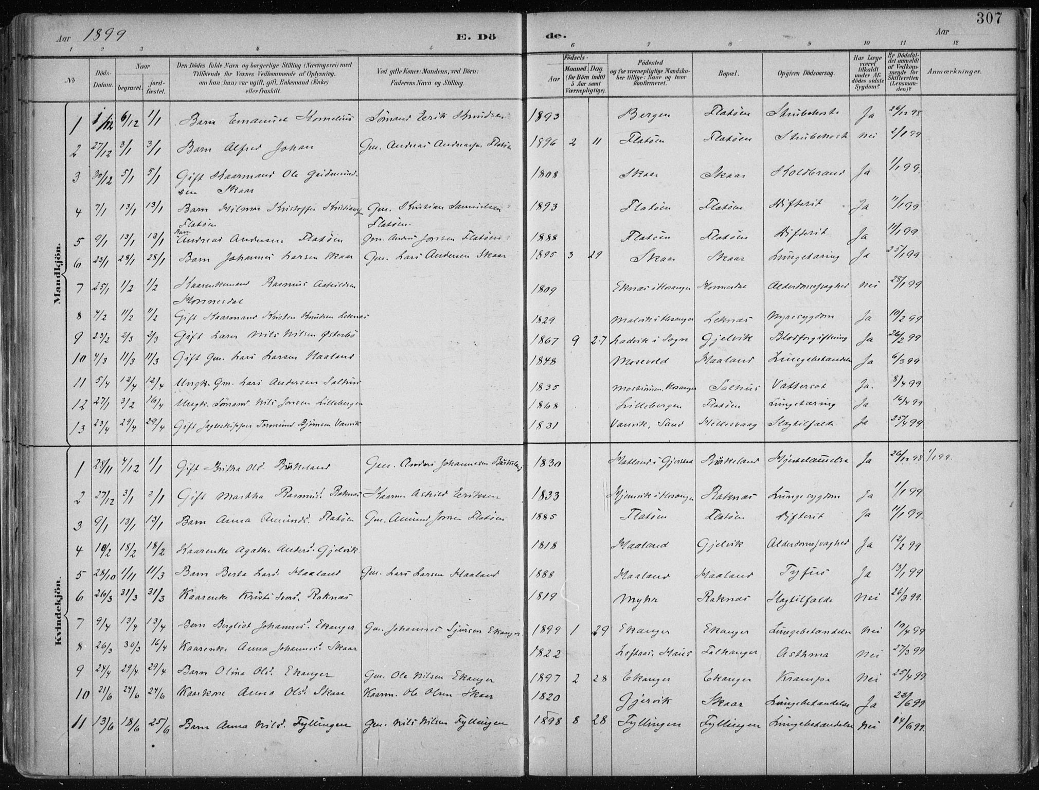 Hamre sokneprestembete, AV/SAB-A-75501/H/Ha/Haa/Haab/L0001: Ministerialbok nr. B  1, 1882-1905, s. 307