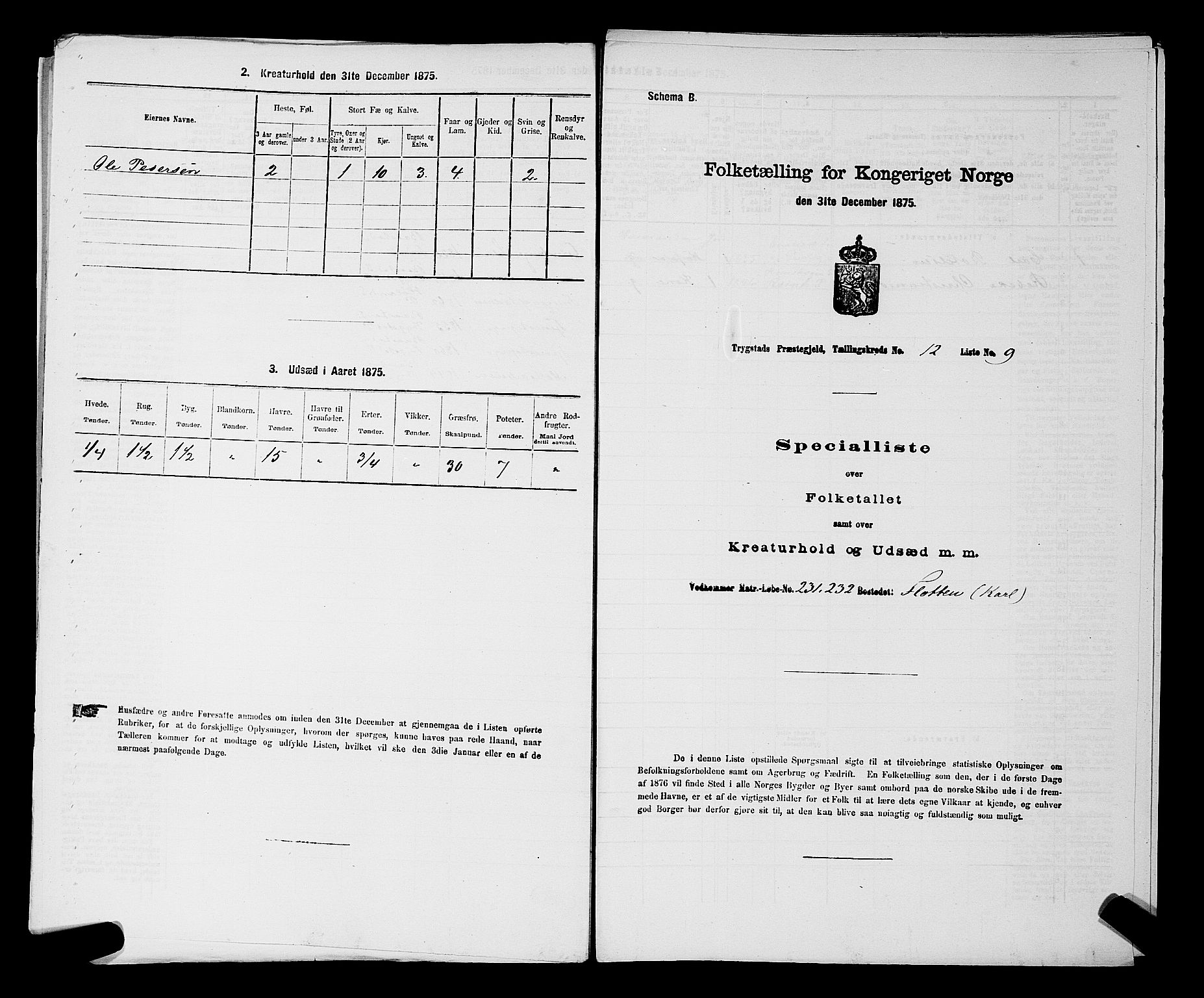 RA, Folketelling 1875 for 0122P Trøgstad prestegjeld, 1875, s. 1331