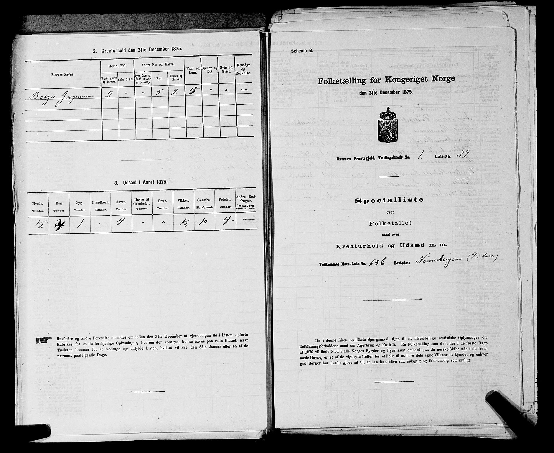 SAKO, Folketelling 1875 for 0718P Ramnes prestegjeld, 1875, s. 96