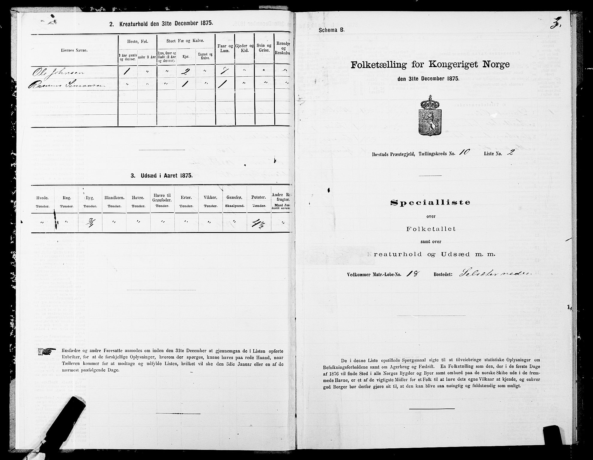 SATØ, Folketelling 1875 for 1917P Ibestad prestegjeld, 1875, s. 7003