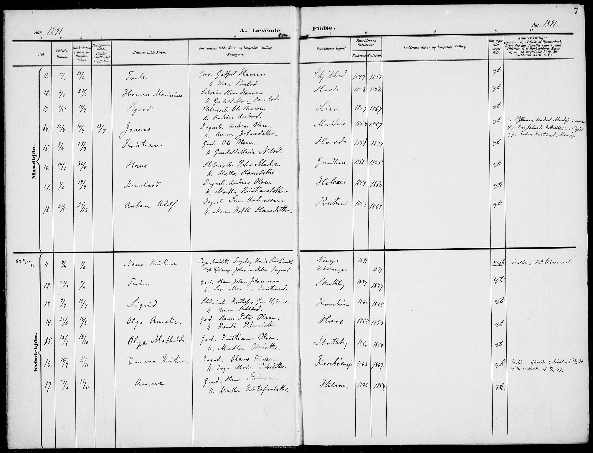 Modum kirkebøker, AV/SAKO-A-234/F/Fa/L0019: Ministerialbok nr. 19, 1890-1914, s. 7