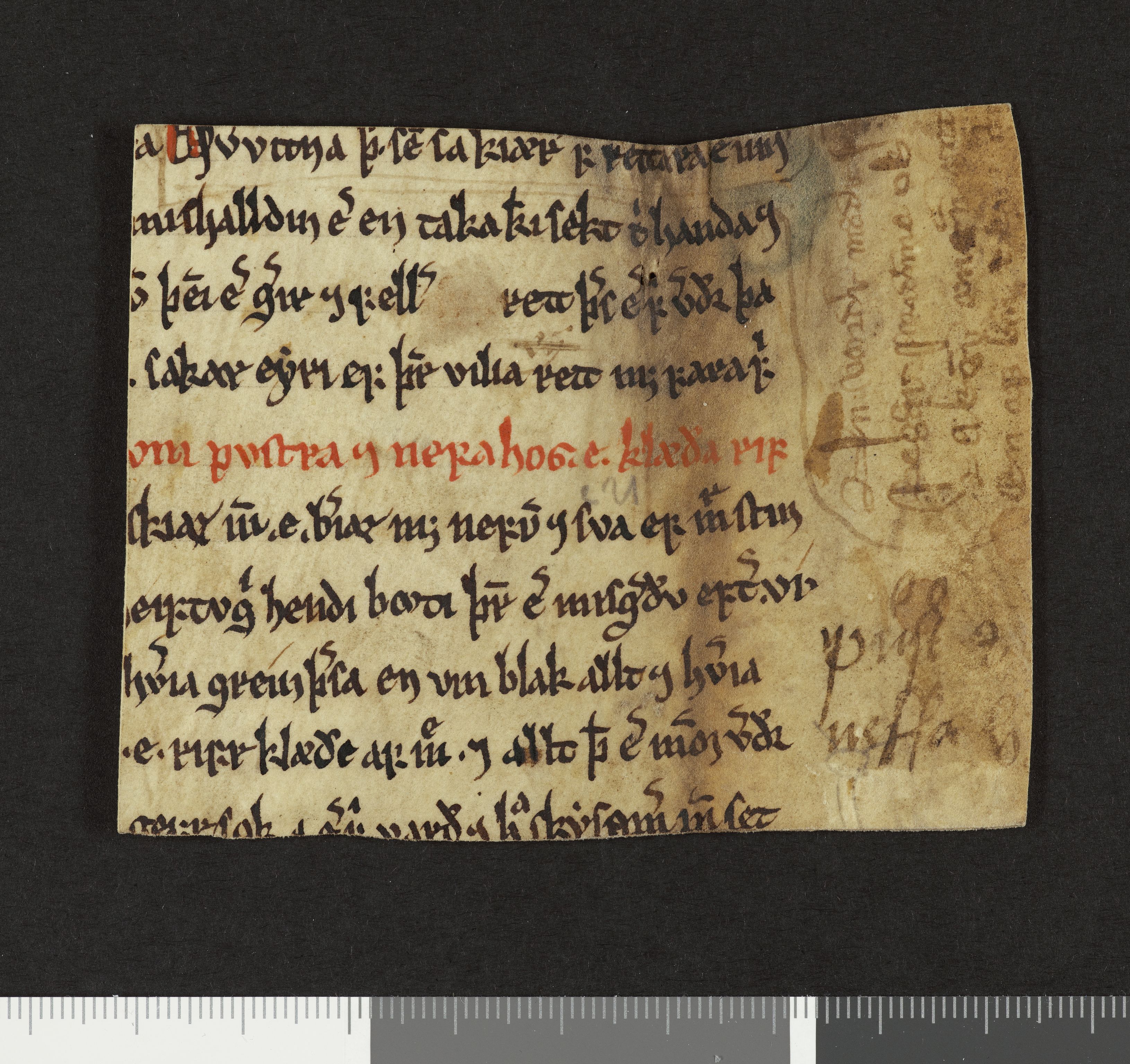 Riksarkivets diplomsamling, AV/RA-EA-5965/F26/L0002: Norrøne membranfragmenter bestand 2-9 (10), 1100-1536, s. 14