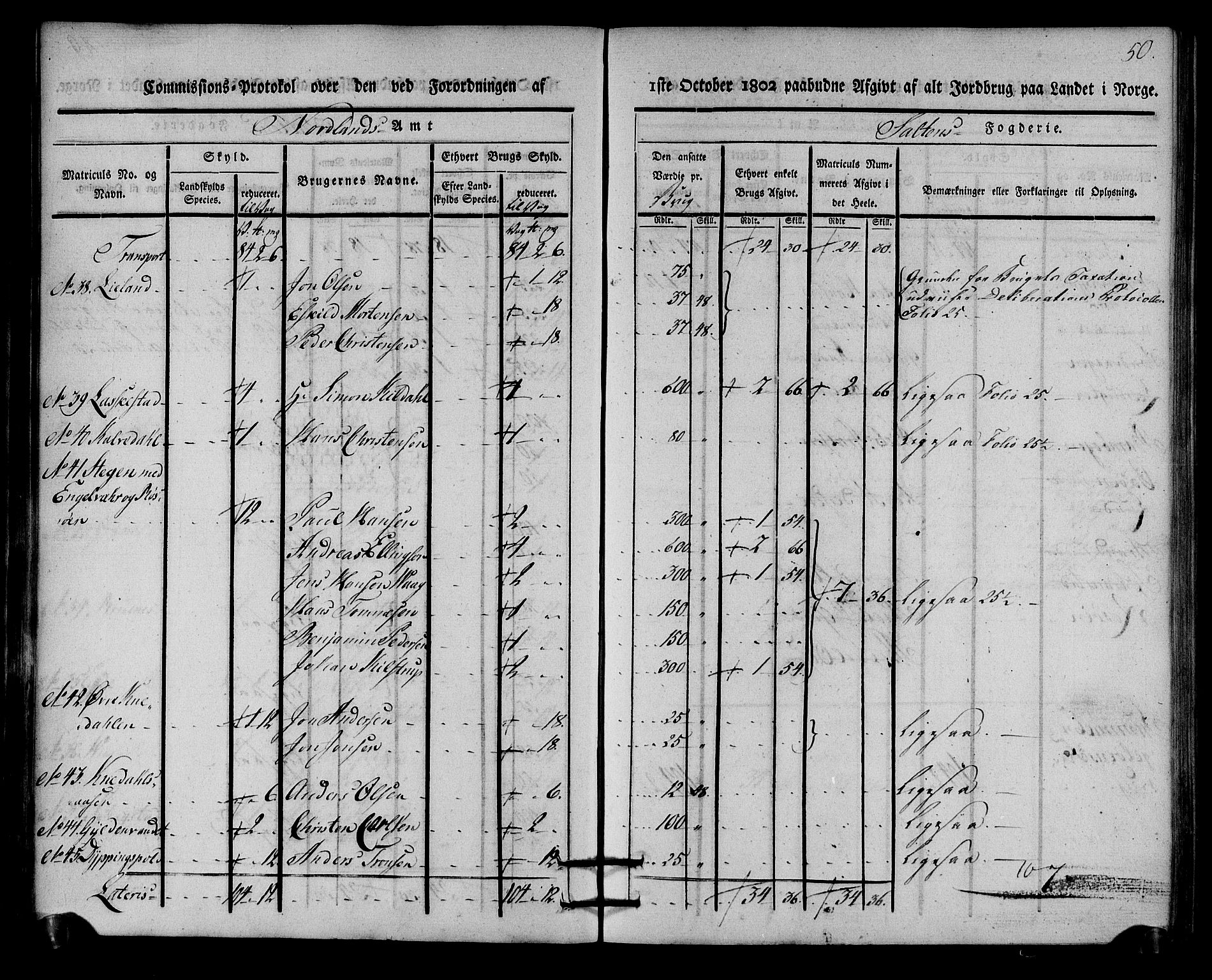 Rentekammeret inntil 1814, Realistisk ordnet avdeling, AV/RA-EA-4070/N/Ne/Nea/L0160: Salten fogderi. Kommisjonsprotokoll, 1803, s. 49