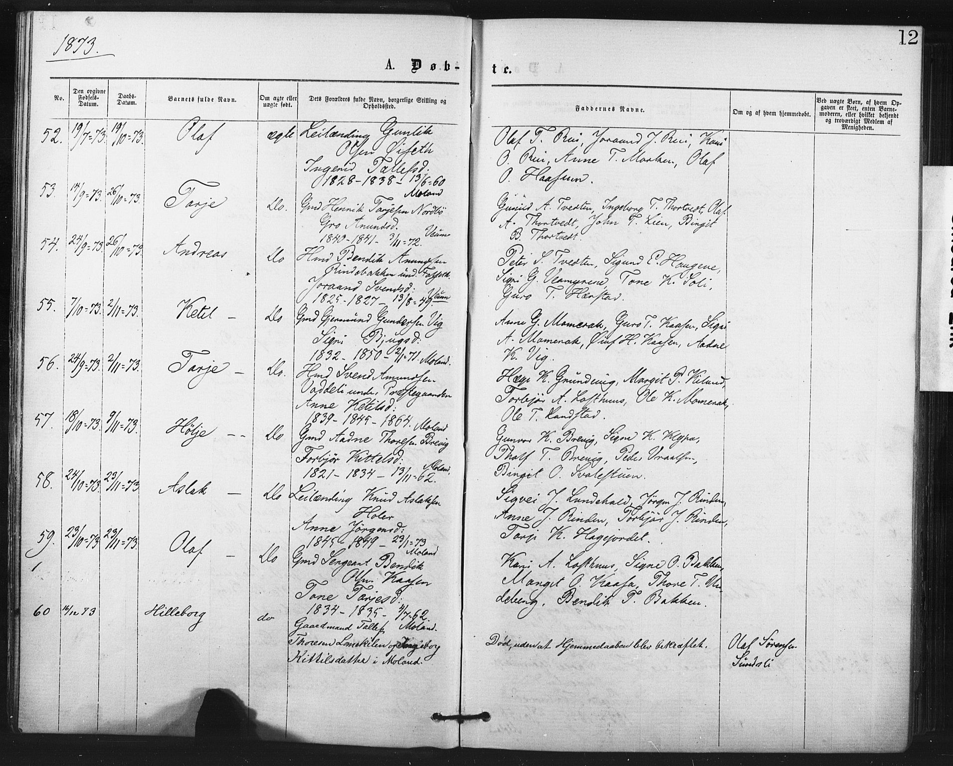 Fyresdal kirkebøker, AV/SAKO-A-263/F/Fa/L0006: Ministerialbok nr. I 6, 1872-1886, s. 12