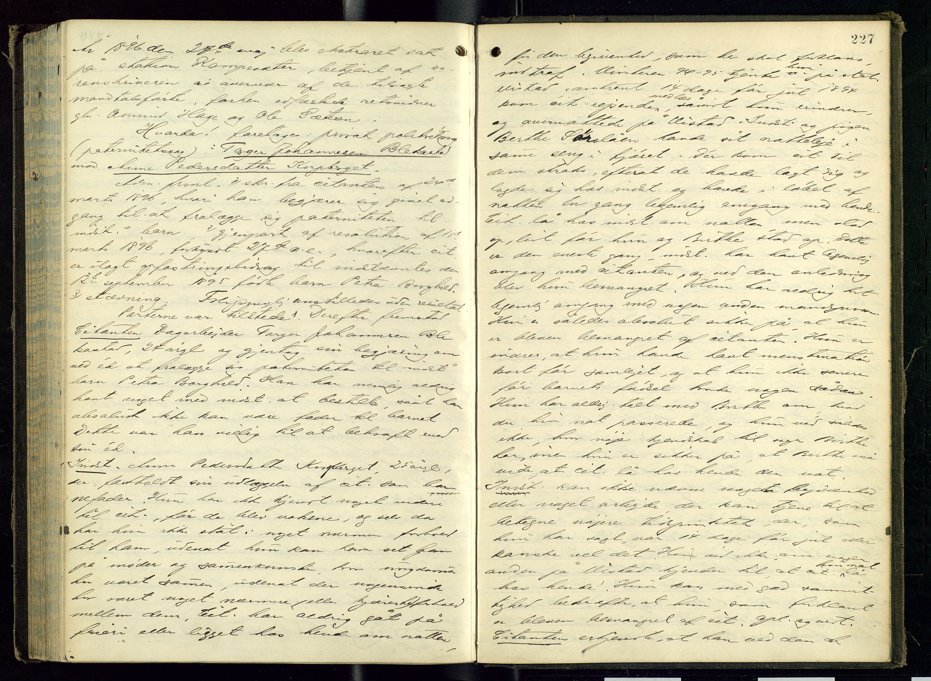 Mellom-Gudbrandsdal sorenskriveri, AV/SAH-TING-038/G/Gc/Gca/L0018: Ekstrarettsprotokoll, 1893-1898, s. 227