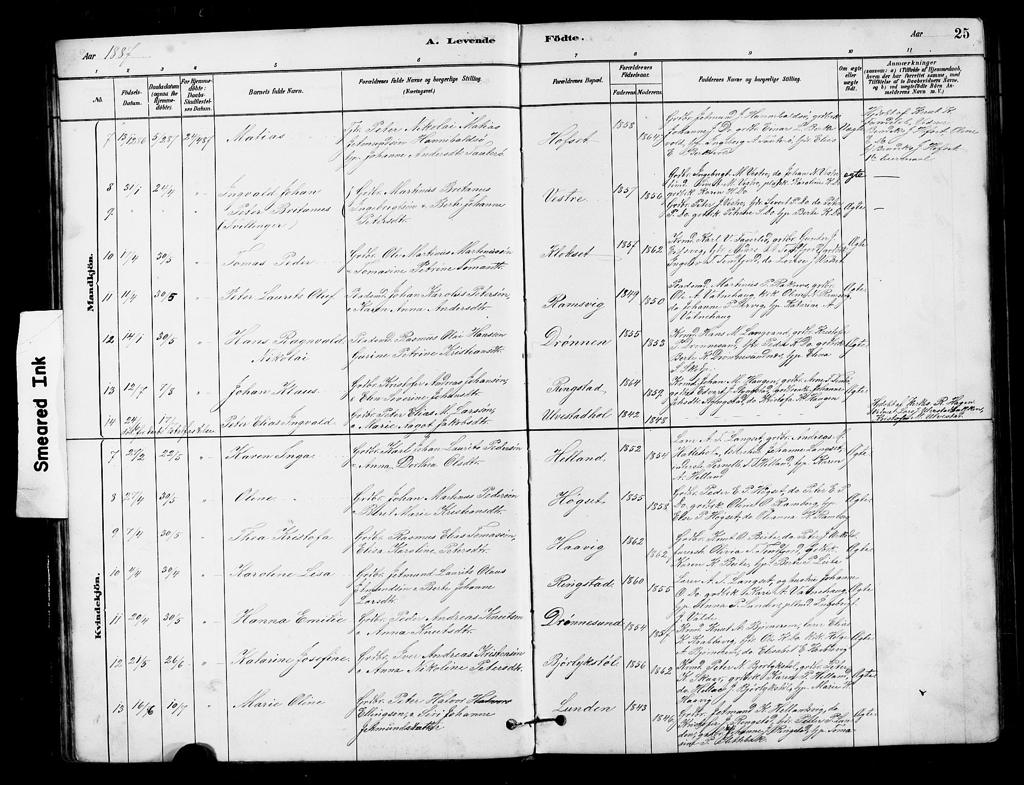 Ministerialprotokoller, klokkerbøker og fødselsregistre - Møre og Romsdal, AV/SAT-A-1454/525/L0376: Klokkerbok nr. 525C02, 1880-1902, s. 25