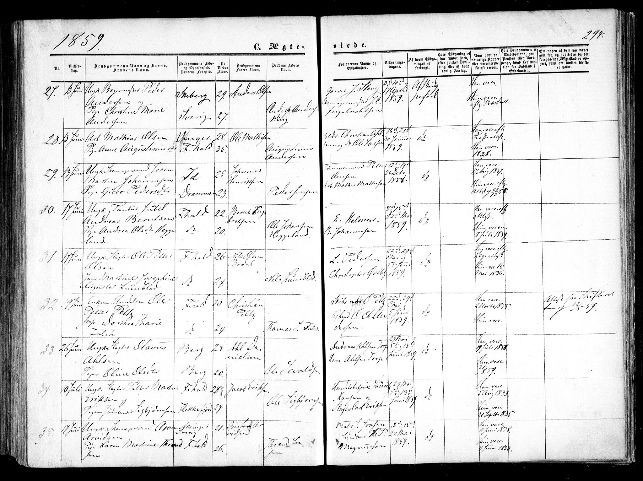 Halden prestekontor Kirkebøker, AV/SAO-A-10909/F/Fa/L0007: Ministerialbok nr. I 7, 1857-1865, s. 294