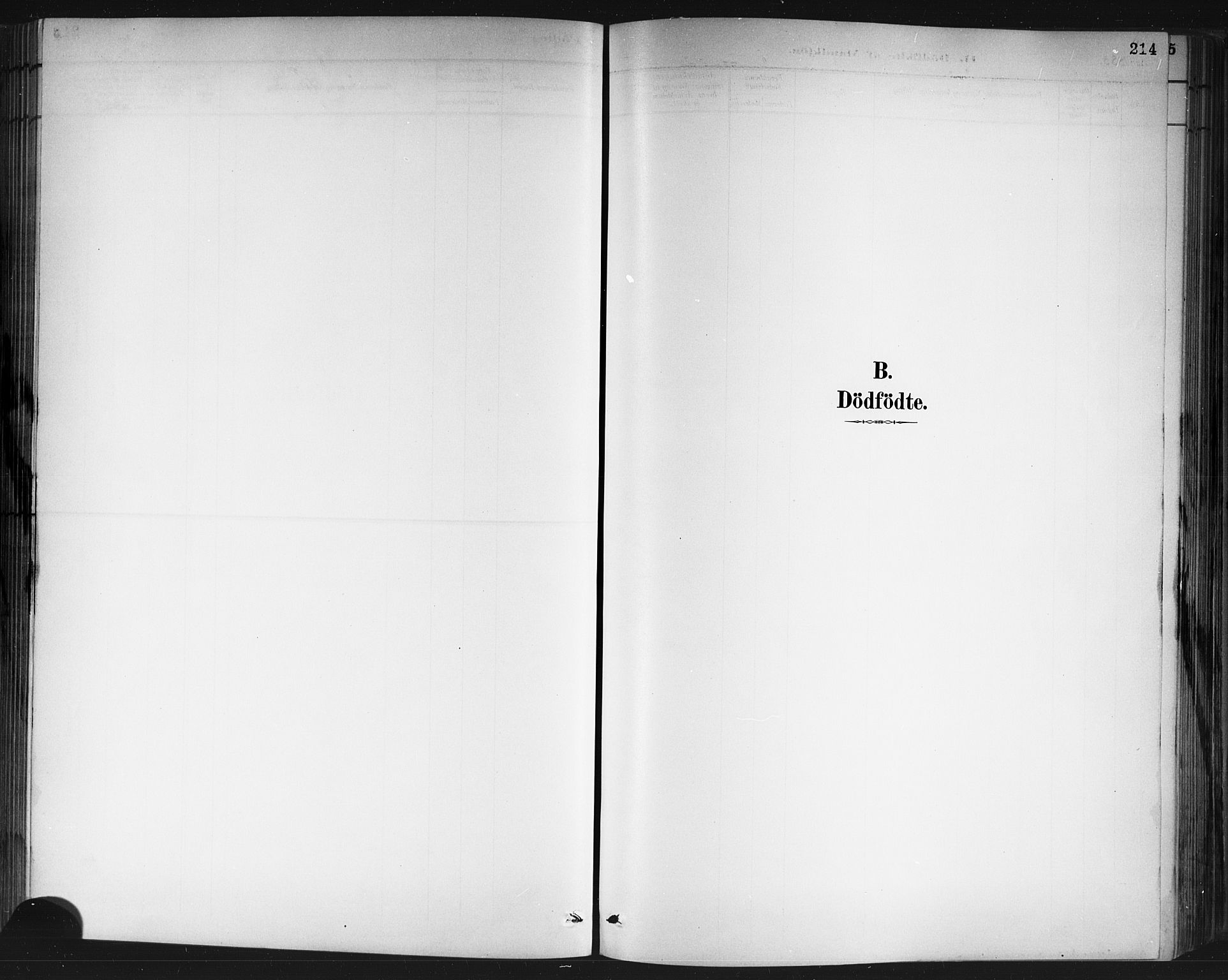 Porsgrunn kirkebøker , AV/SAKO-A-104/G/Gb/L0005: Klokkerbok nr. II 5, 1883-1915, s. 214