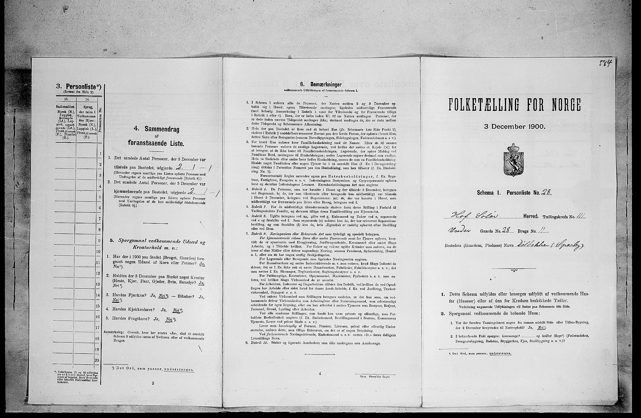 SAH, Folketelling 1900 for 0424 Hof herred, 1900, s. 540