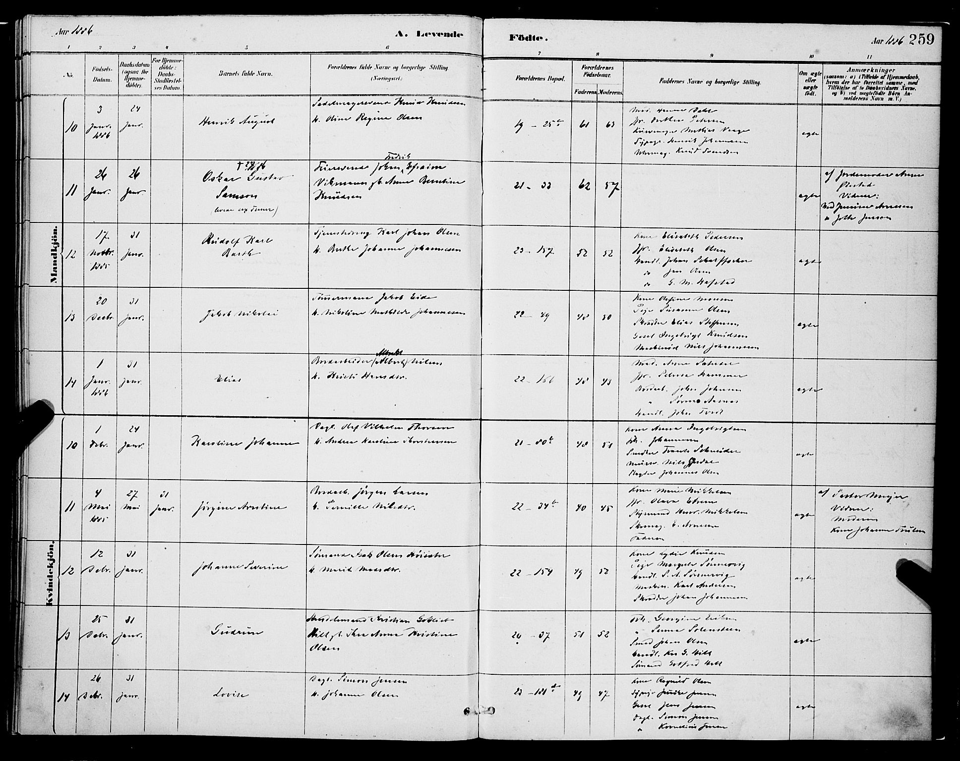 Korskirken sokneprestembete, AV/SAB-A-76101/H/Hab: Klokkerbok nr. B 8, 1878-1887, s. 259