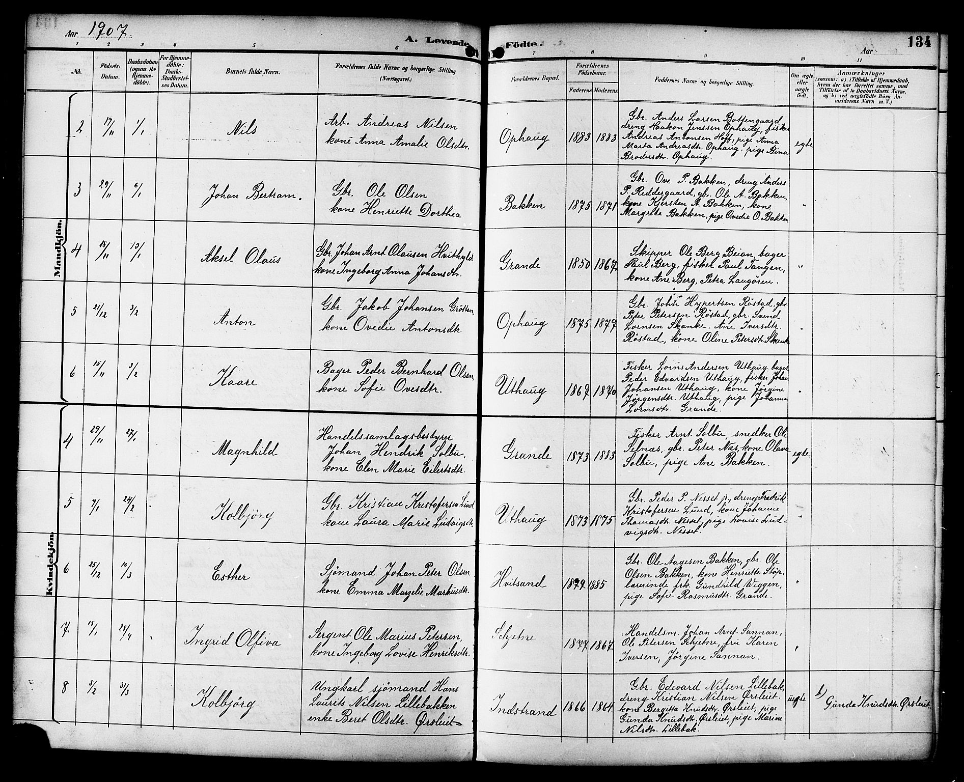 Ministerialprotokoller, klokkerbøker og fødselsregistre - Sør-Trøndelag, AV/SAT-A-1456/659/L0746: Klokkerbok nr. 659C03, 1893-1912, s. 134