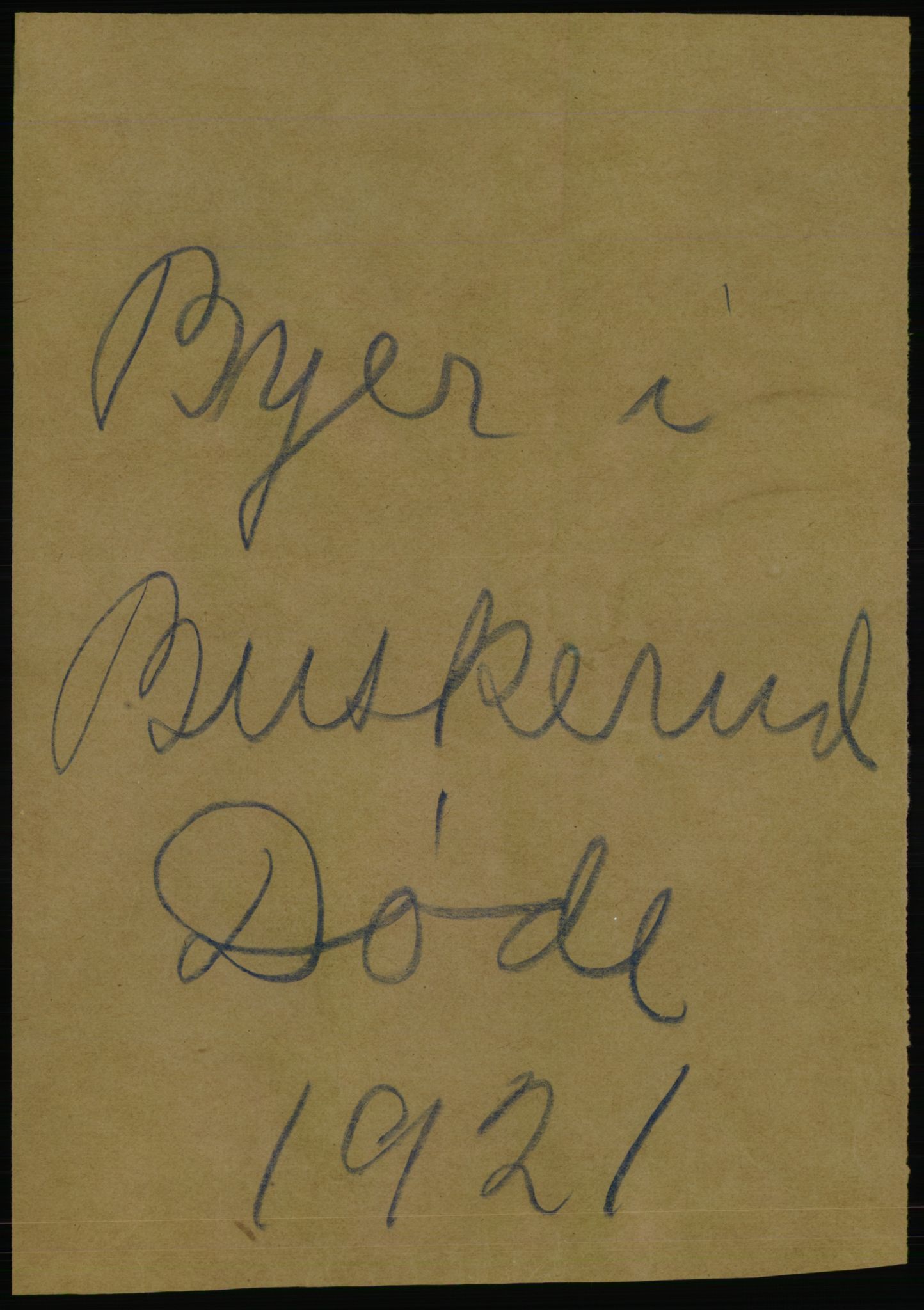 Statistisk sentralbyrå, Sosiodemografiske emner, Befolkning, AV/RA-S-2228/D/Df/Dfc/Dfca/L0020: Buskerud fylke: Døde. Byer og bygder., 1921, s. 323