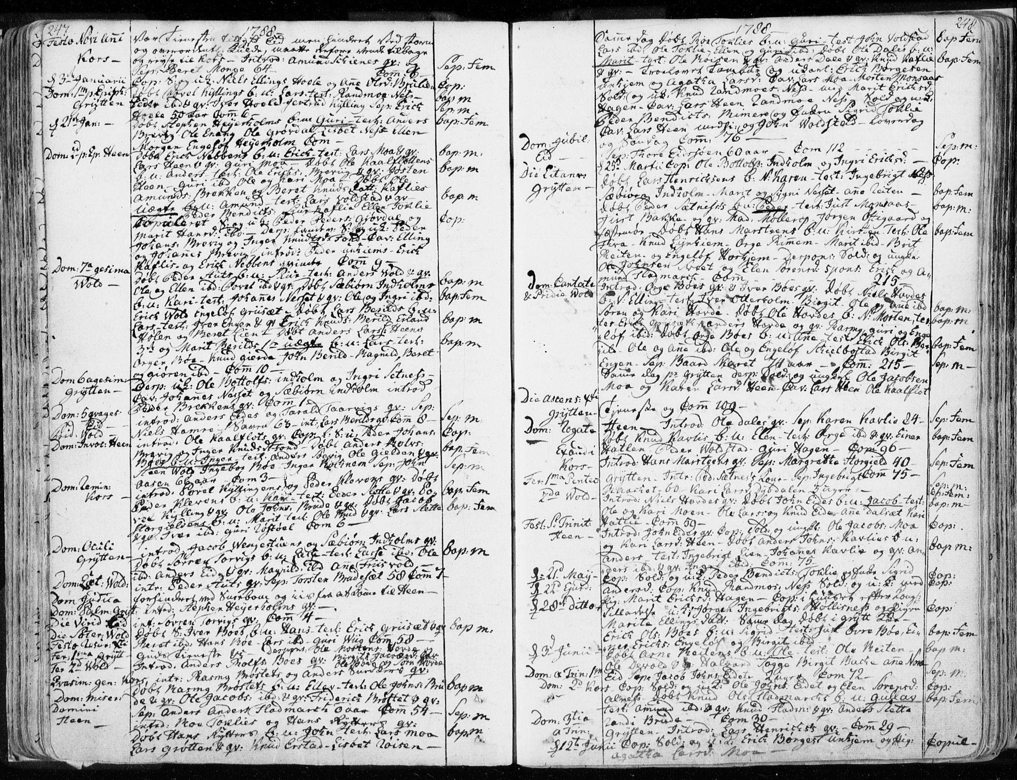 Ministerialprotokoller, klokkerbøker og fødselsregistre - Møre og Romsdal, AV/SAT-A-1454/544/L0569: Ministerialbok nr. 544A02, 1764-1806, s. 247-248