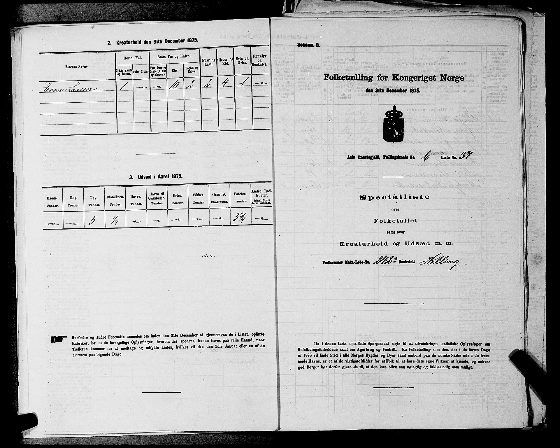 SAKO, Folketelling 1875 for 0619P Ål prestegjeld, 1875, s. 814