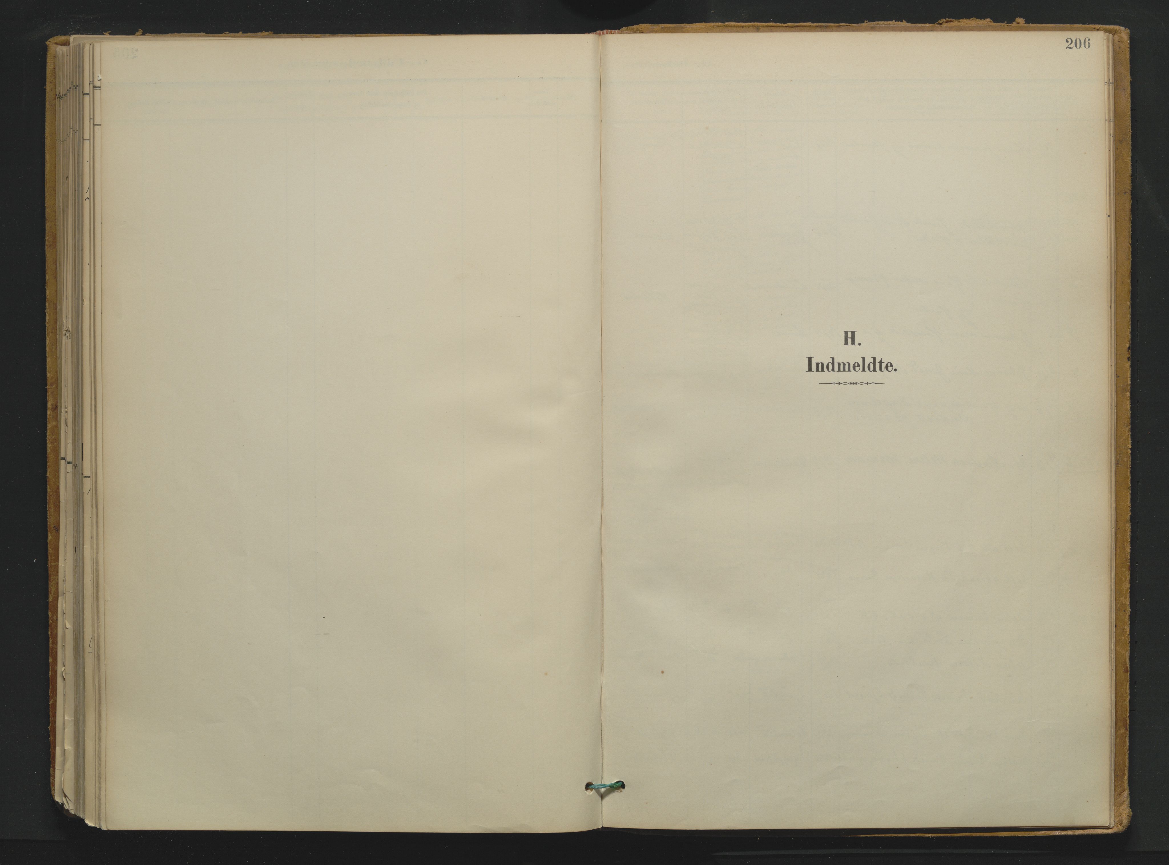 Drangedal kirkebøker, SAKO/A-258/F/Fa/L0013: Ministerialbok nr. 13, 1895-1919, s. 206