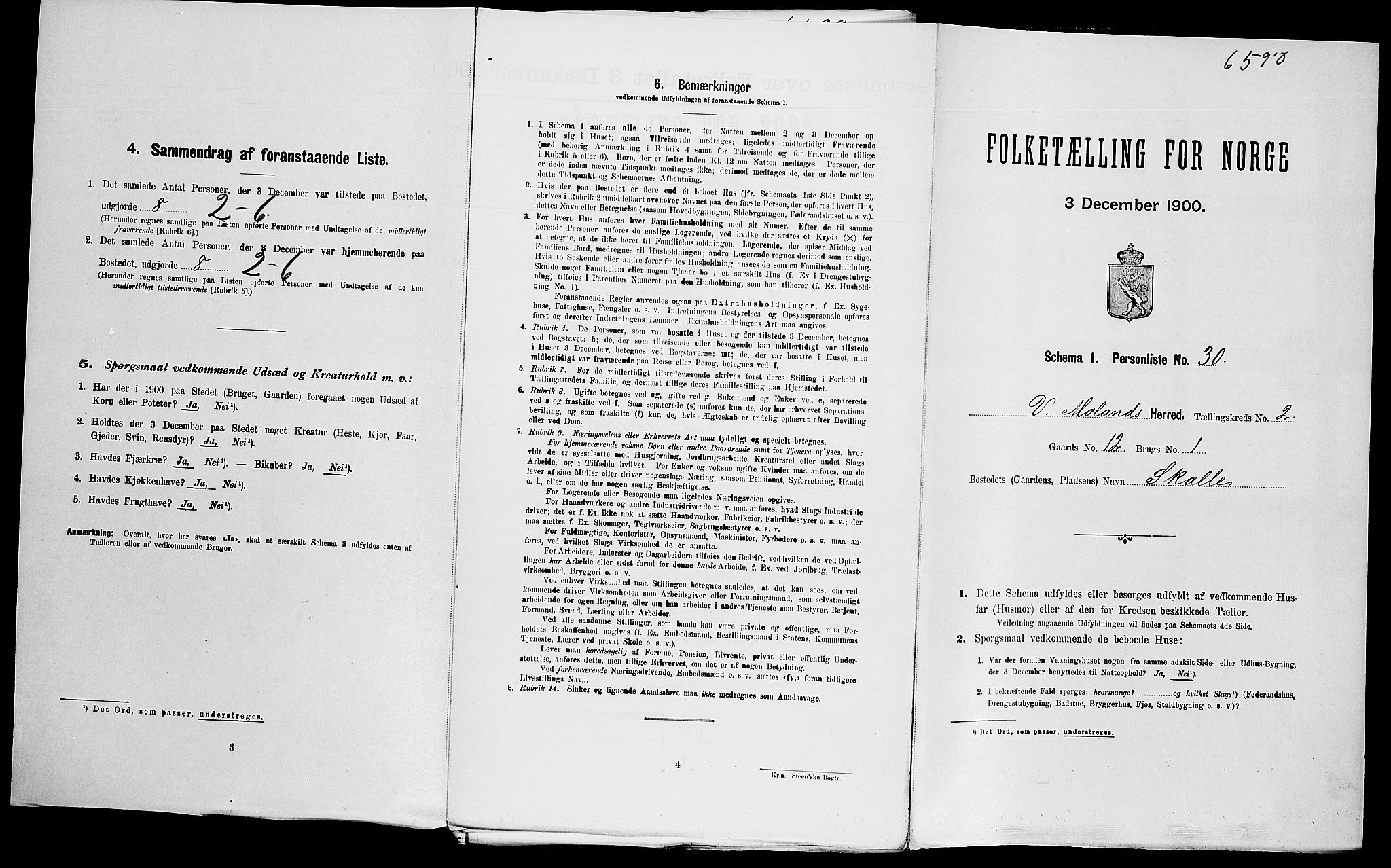 SAK, Folketelling 1900 for 0926 Vestre Moland herred, 1900, s. 294