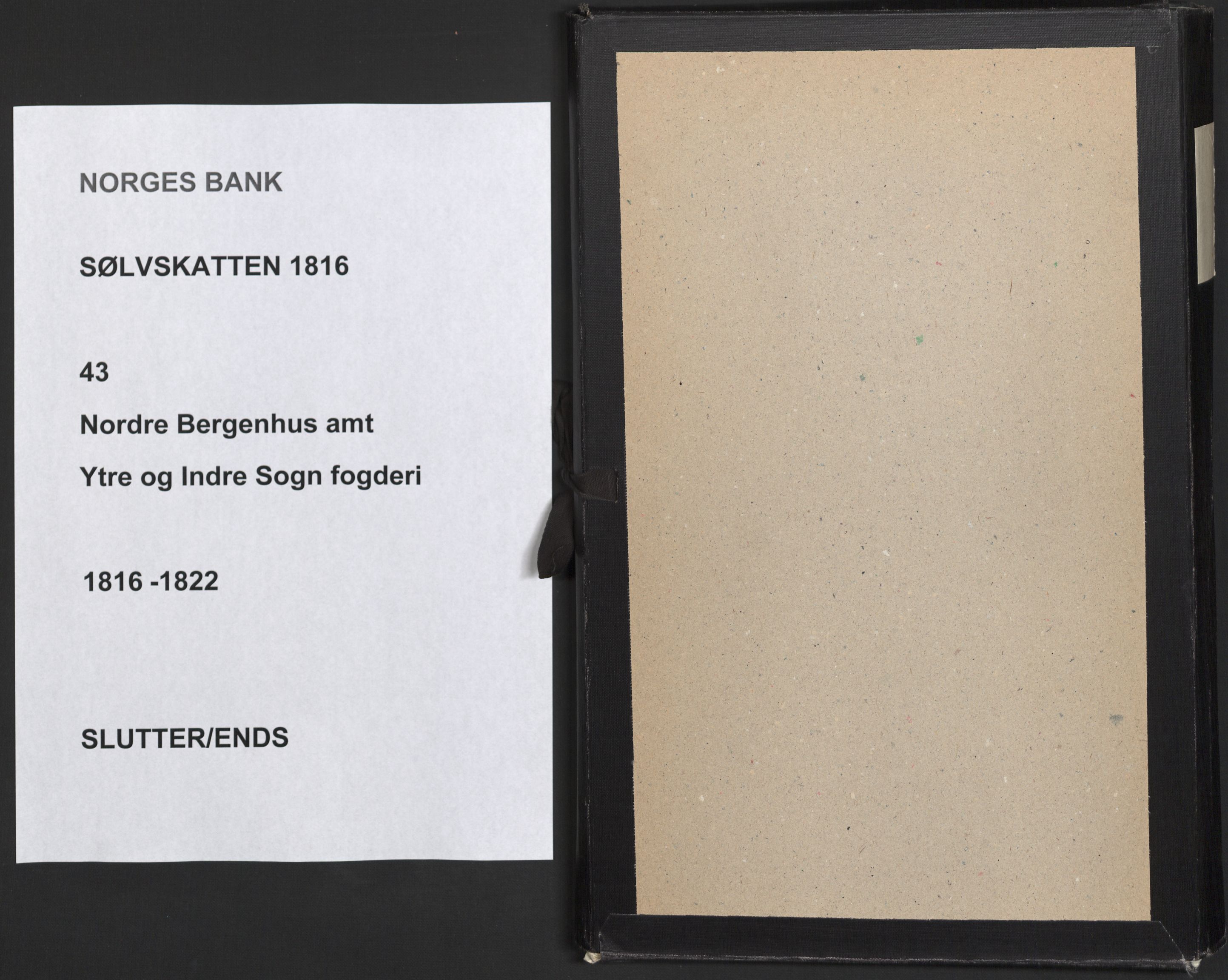 Sølvskatten 1816, NOBA/SOLVSKATTEN/A/L0042: Bind 43: Ytre og Indre Sogn fogderi, 1816-1822, s. 117