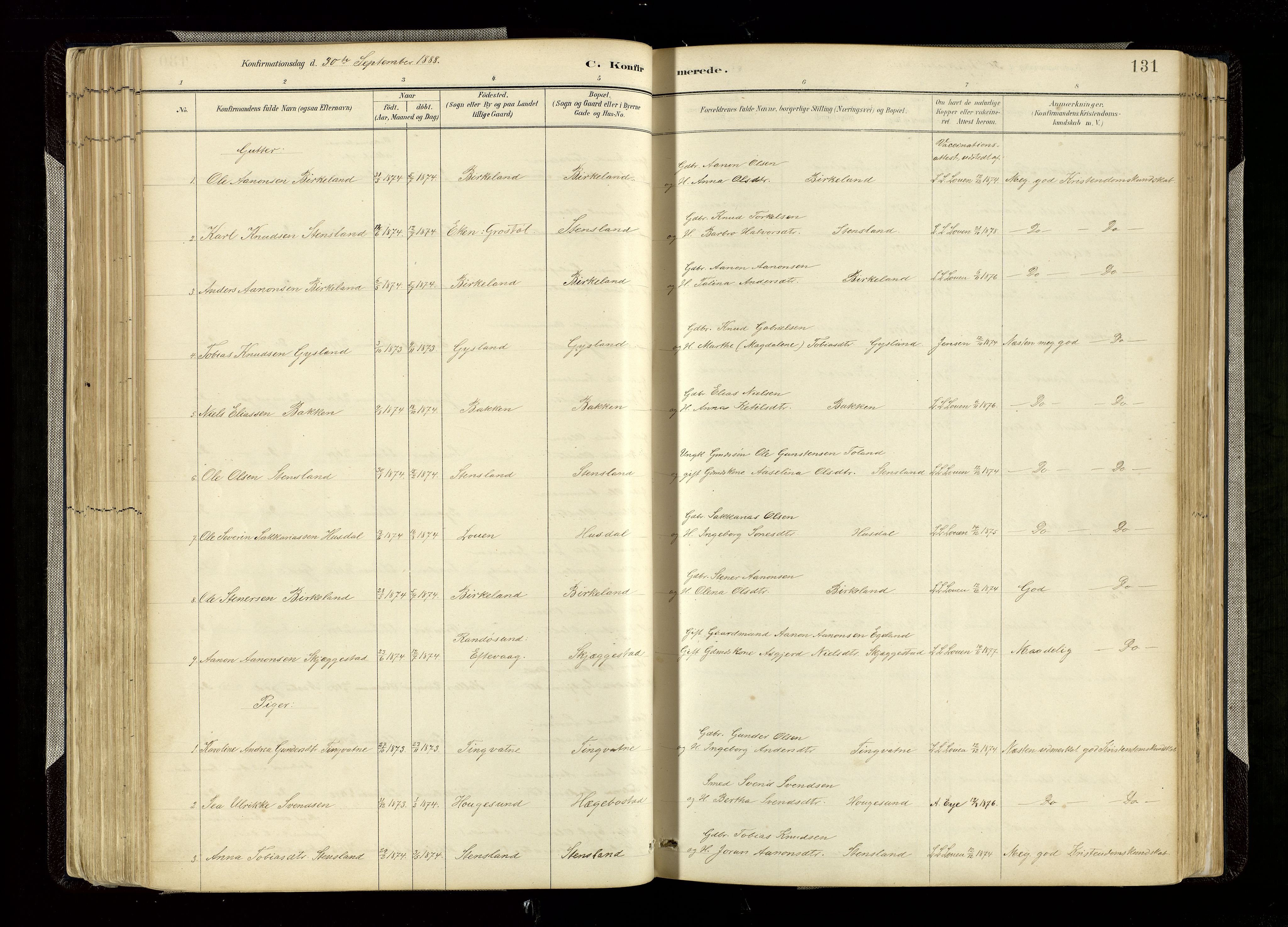 Hægebostad sokneprestkontor, SAK/1111-0024/F/Fa/Faa/L0006: Ministerialbok nr. A 6, 1887-1929, s. 131