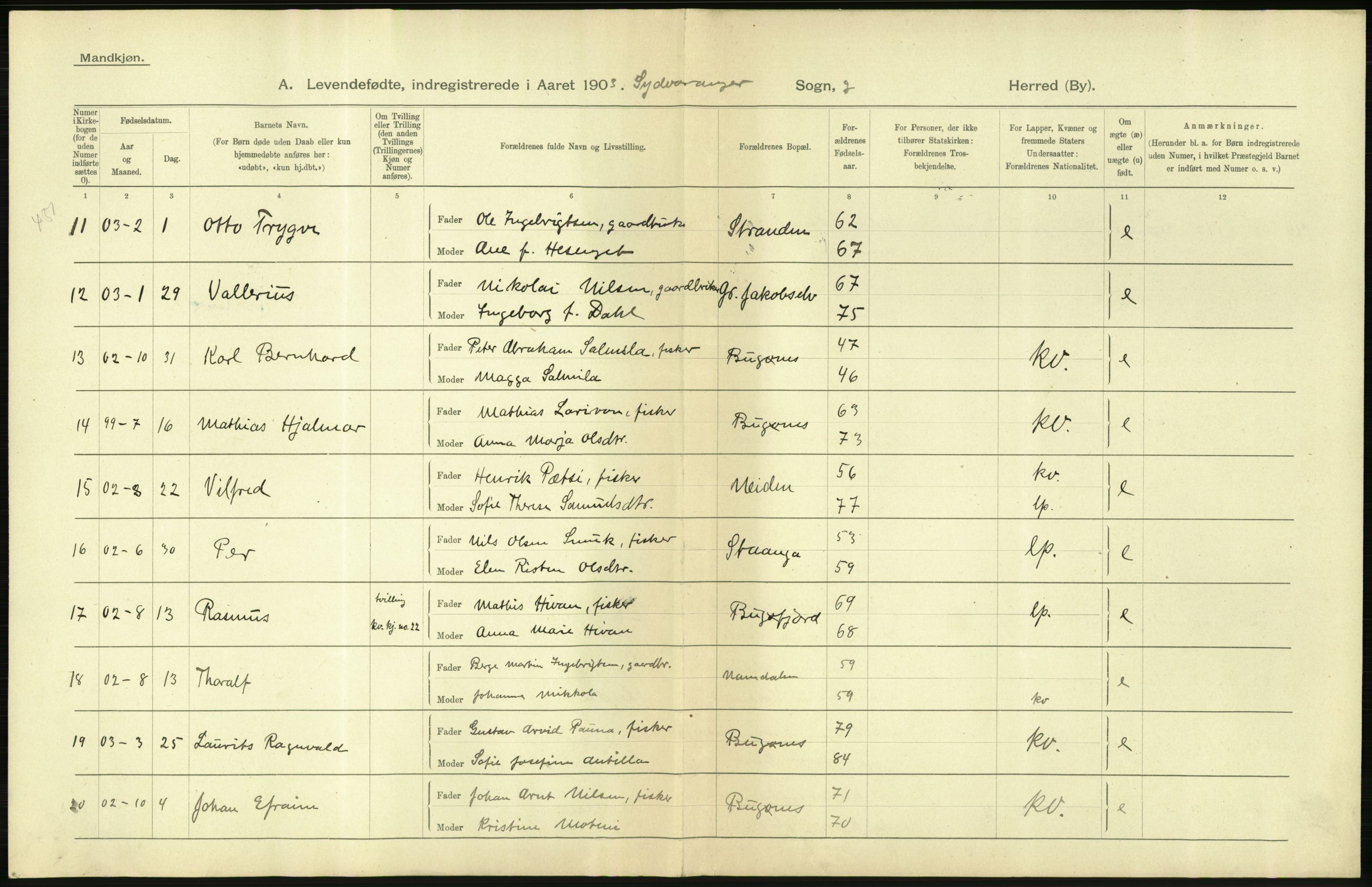 Statistisk sentralbyrå, Sosiodemografiske emner, Befolkning, AV/RA-S-2228/D/Df/Dfa/Dfaa/L0022: Finnmarkens amt: Fødte, gifte, døde., 1903, s. 12