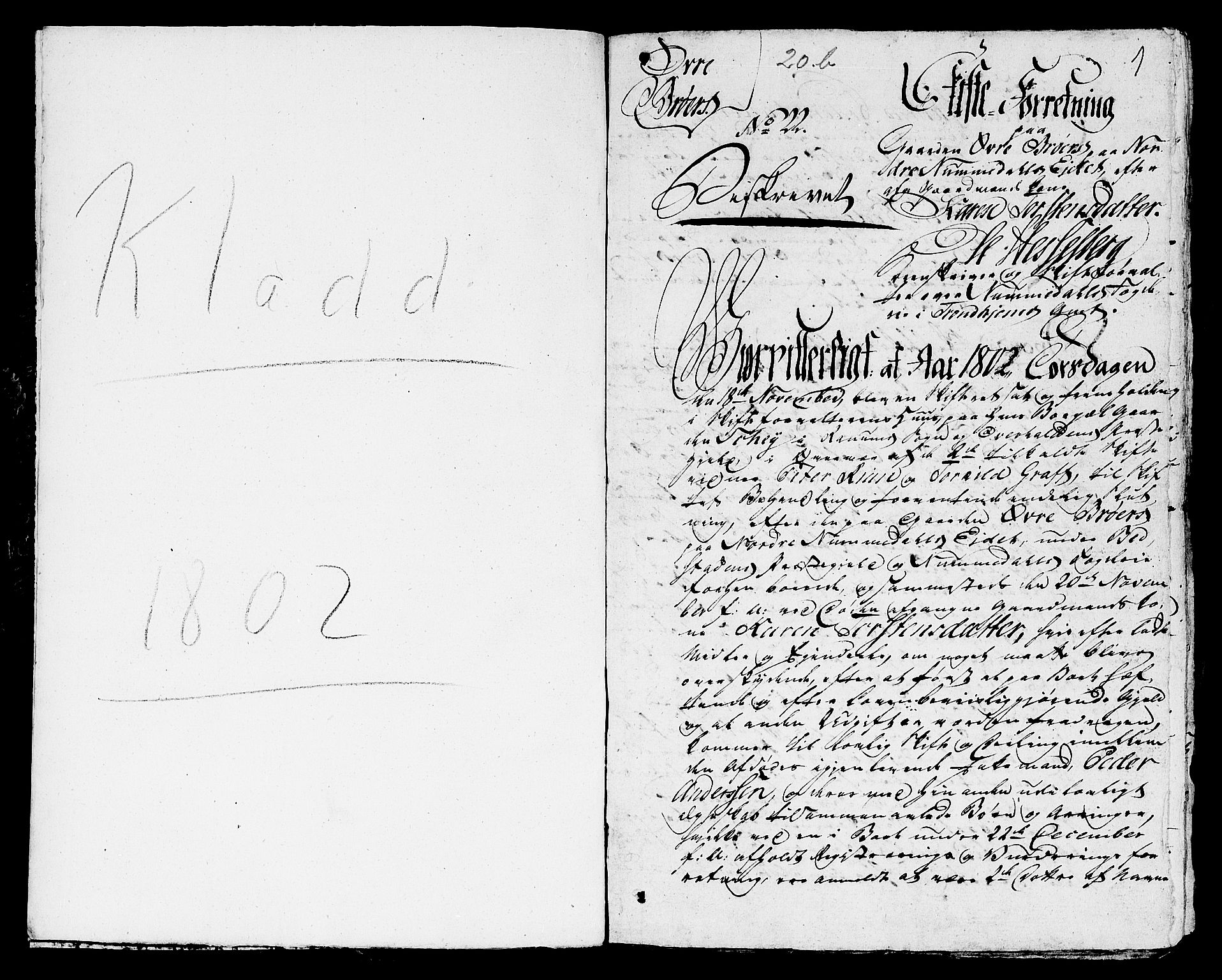 Namdal sorenskriveri, AV/SAT-A-4133/1/3/3A/L0029: Skifteprotokoll nr. 20b, 1802, s. 0b-1a
