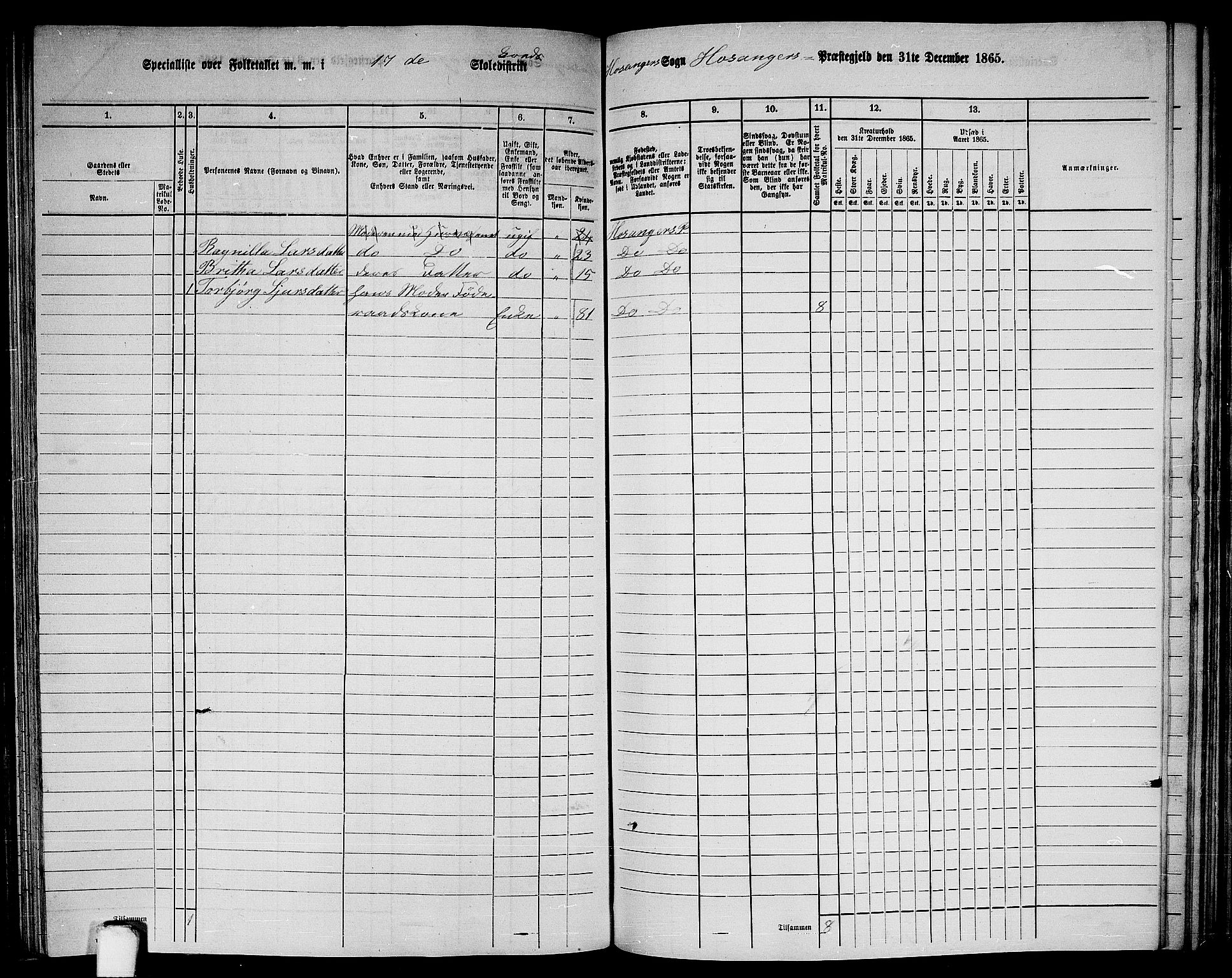 RA, Folketelling 1865 for 1253P Hosanger prestegjeld, 1865, s. 117