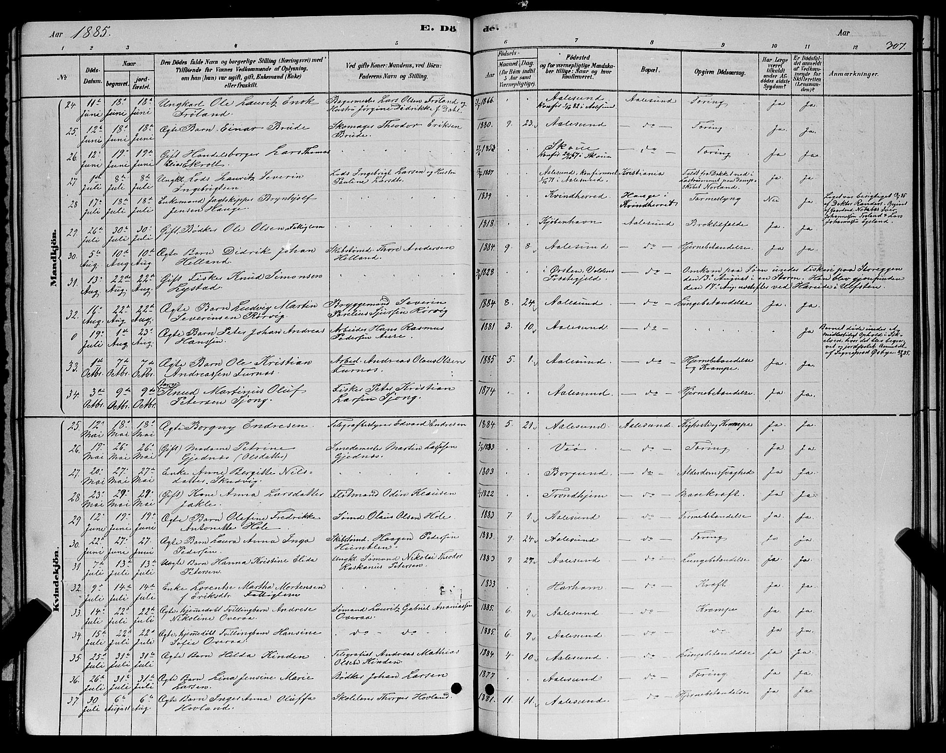 Ministerialprotokoller, klokkerbøker og fødselsregistre - Møre og Romsdal, AV/SAT-A-1454/529/L0466: Klokkerbok nr. 529C03, 1878-1888, s. 307