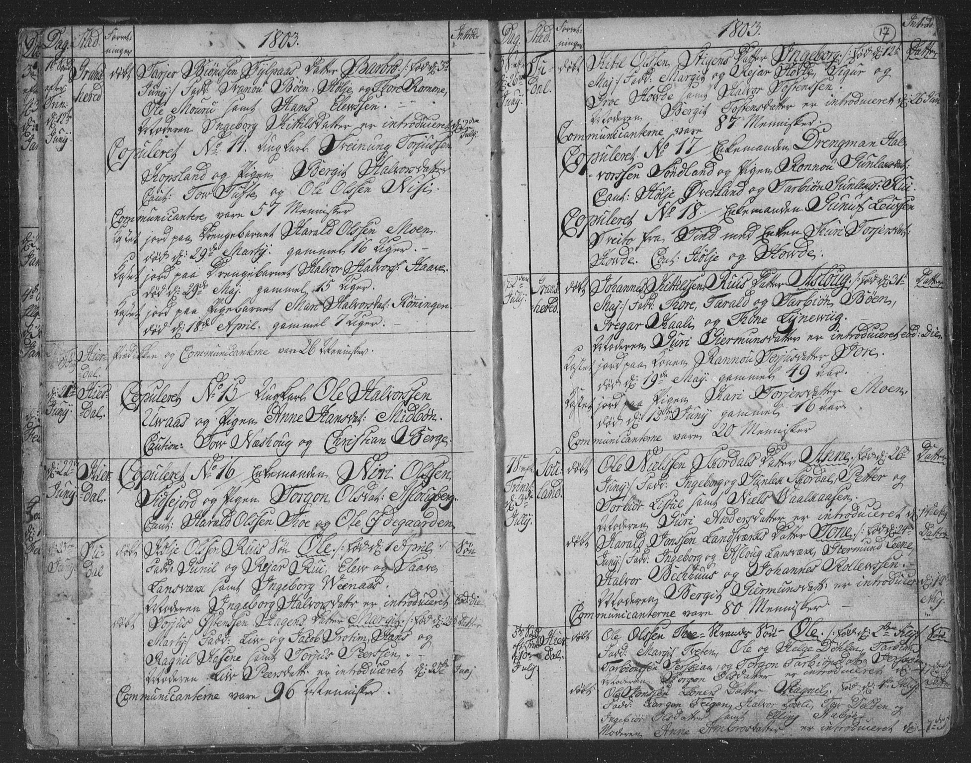 Hjartdal kirkebøker, AV/SAKO-A-270/F/Fa/L0006: Ministerialbok nr. I 6, 1801-1814, s. 17