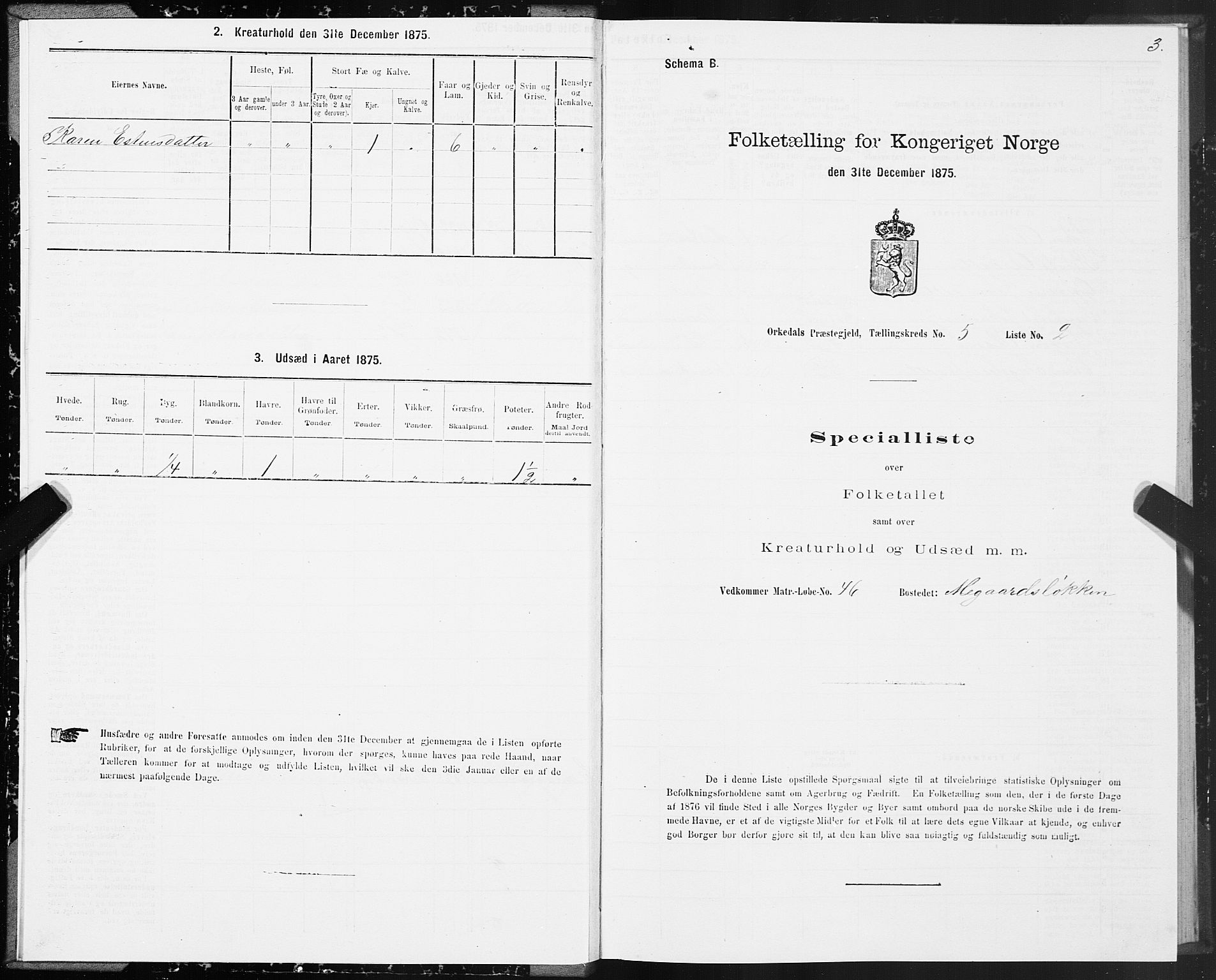 SAT, Folketelling 1875 for 1638P Orkdal prestegjeld, 1875, s. 3003