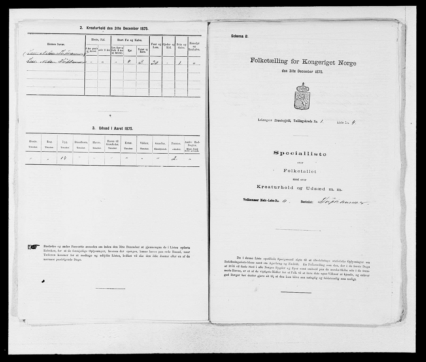 SAB, Folketelling 1875 for 1419P Leikanger prestegjeld, 1875, s. 29