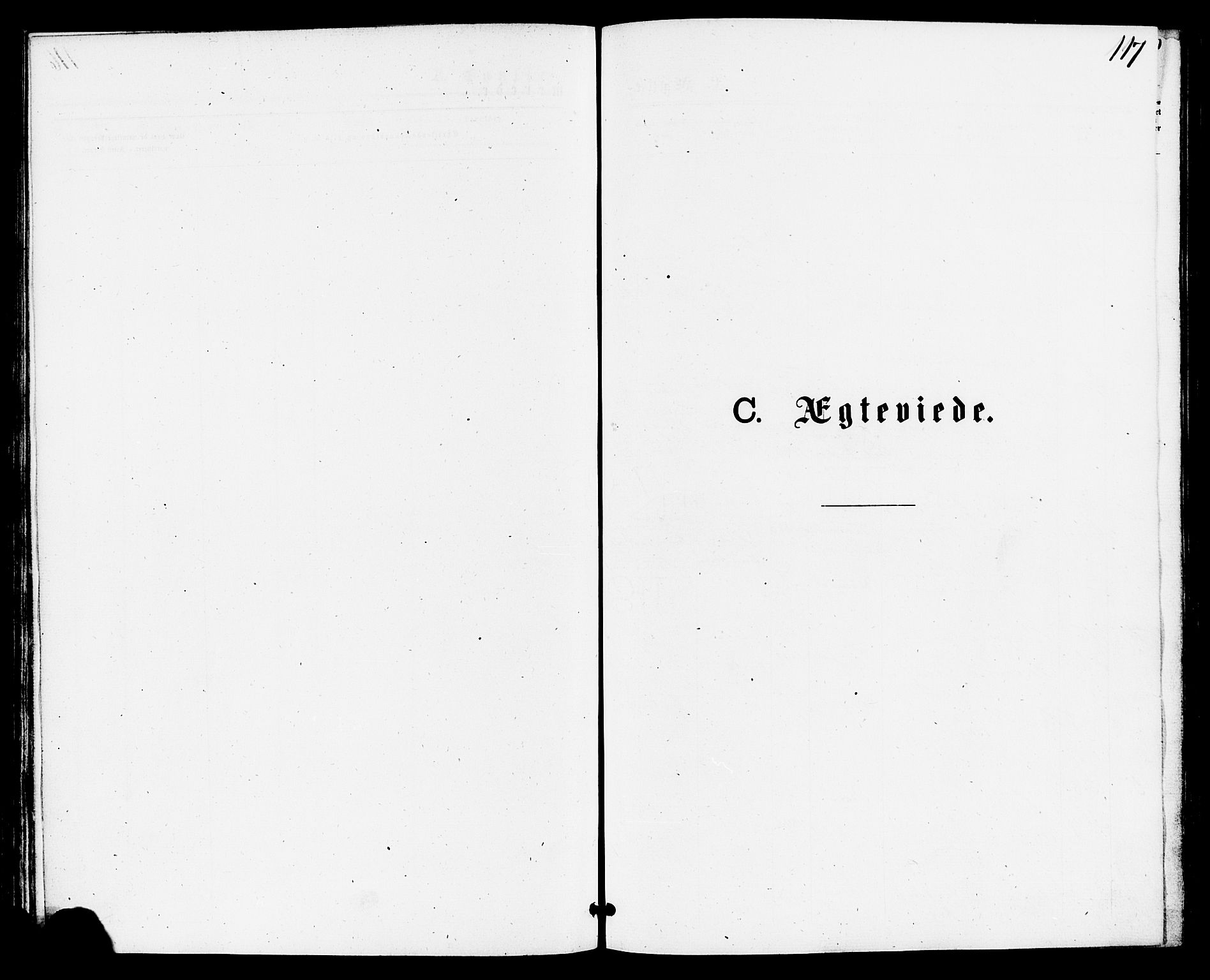 Høgsfjord sokneprestkontor, SAST/A-101624/H/Ha/Haa/L0004: Ministerialbok nr. A 4, 1876-1884, s. 117