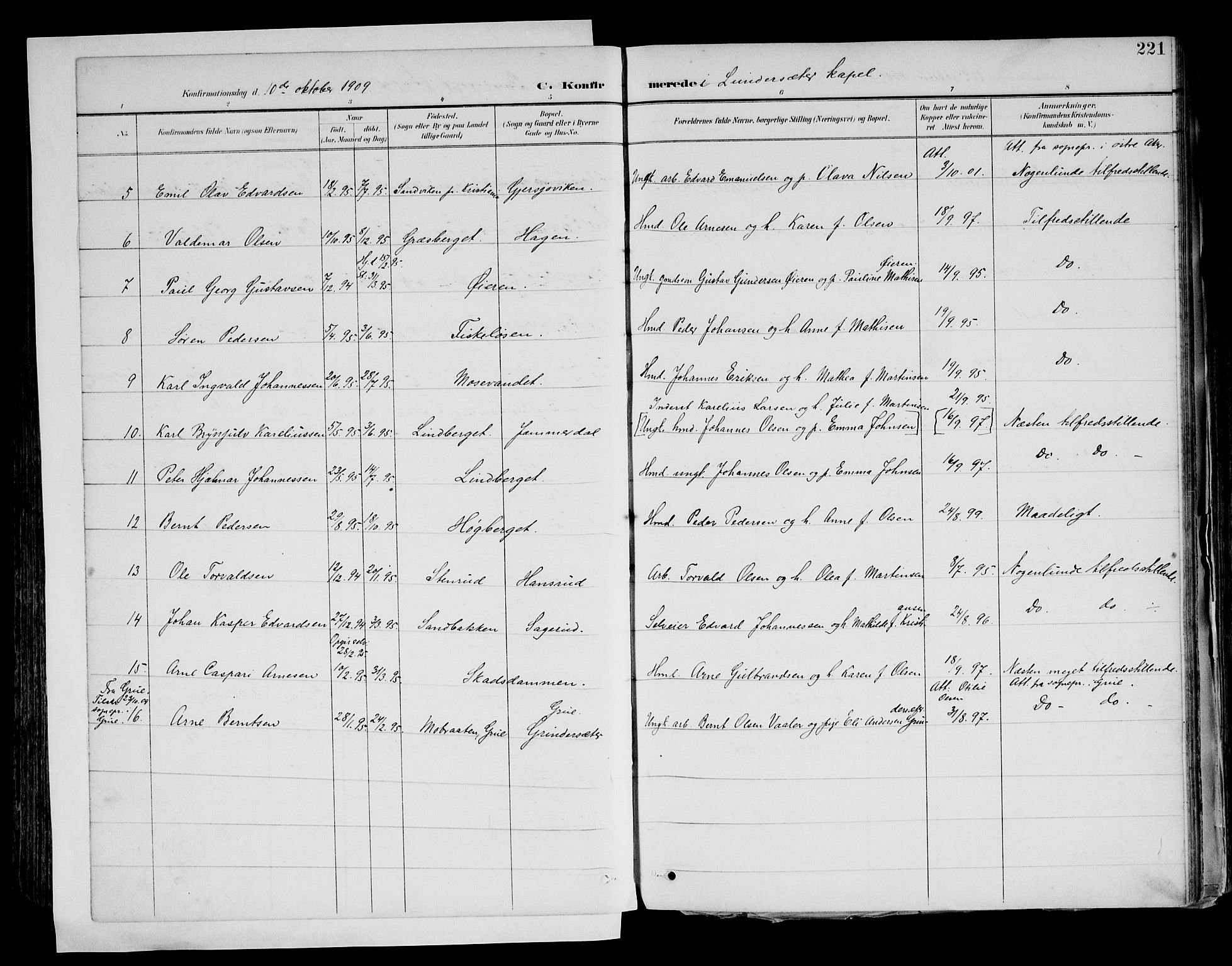Brandval prestekontor, AV/SAH-PREST-034/H/Ha/Haa/L0003: Ministerialbok nr. 3, 1894-1909, s. 221