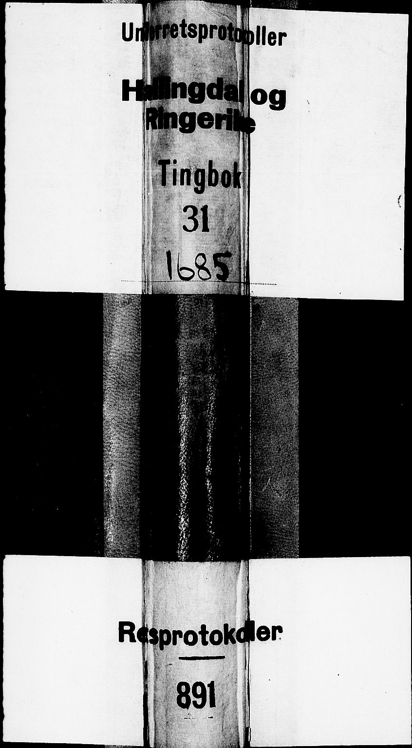 Ringerike og Hallingdal sorenskriveri, SAKO/A-81/F/Fa/Faa/L0019: Tingbok, 1685