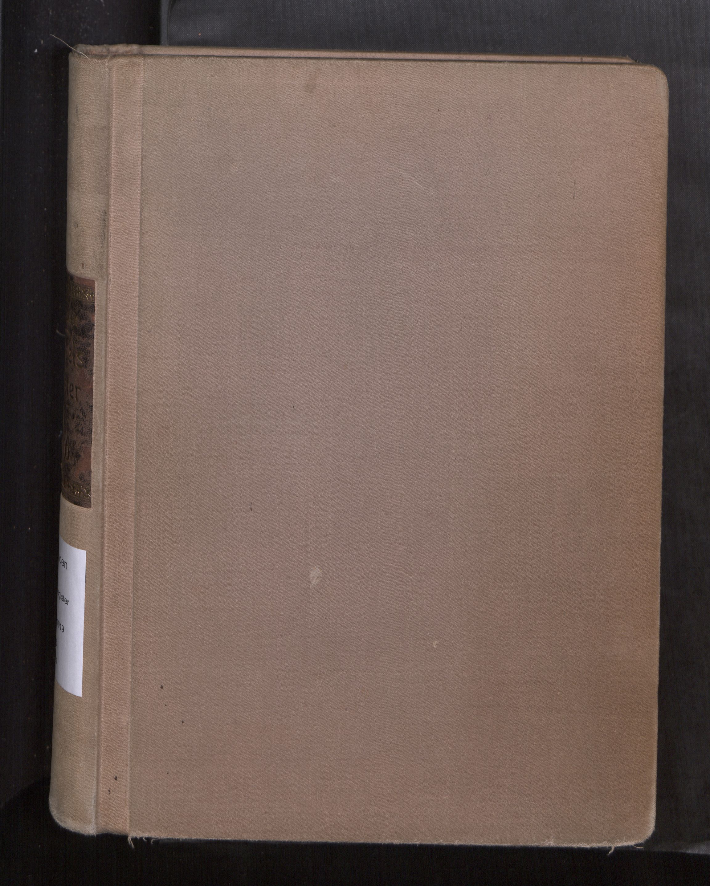 Ministerialprotokoller, klokkerbøker og fødselsregistre - Sør-Trøndelag, AV/SAT-A-1456/605/L0265: Fødselsregister nr. 605---, 1916-1919
