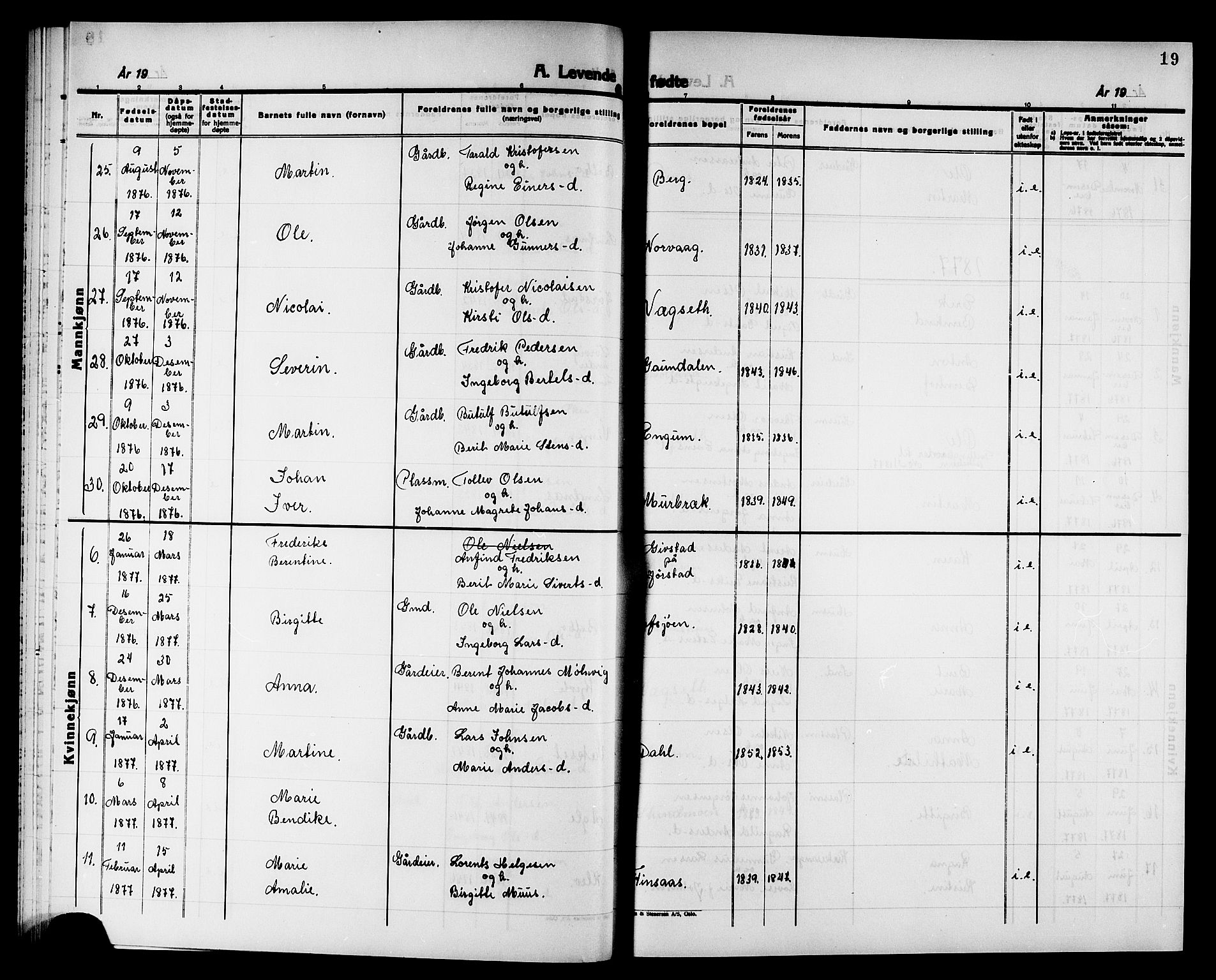 Ministerialprotokoller, klokkerbøker og fødselsregistre - Nord-Trøndelag, SAT/A-1458/749/L0486: Ministerialbok nr. 749D02, 1873-1887, s. 19