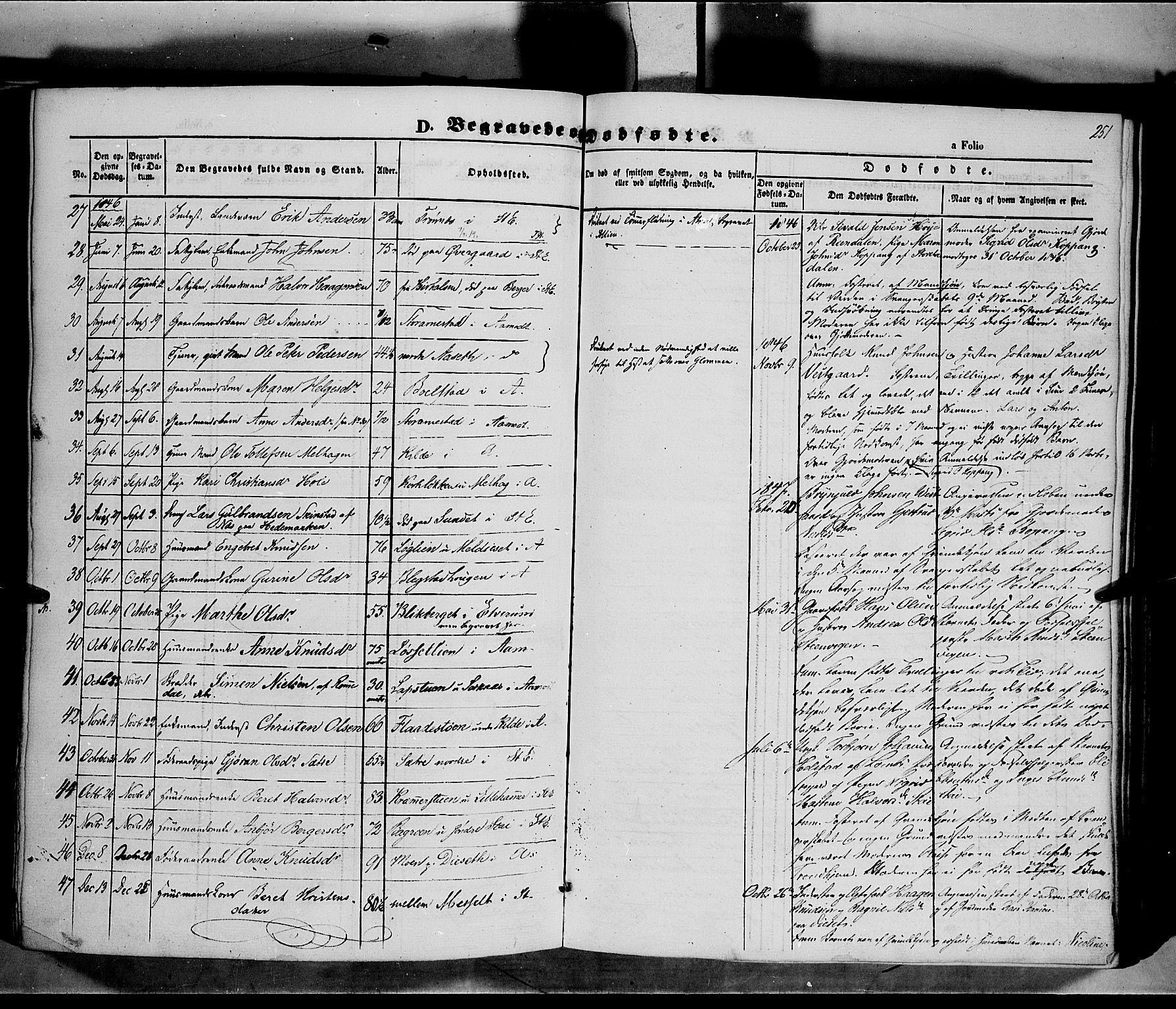 Åmot prestekontor, Hedmark, AV/SAH-PREST-056/H/Ha/Haa/L0006: Ministerialbok nr. 6, 1842-1861, s. 251