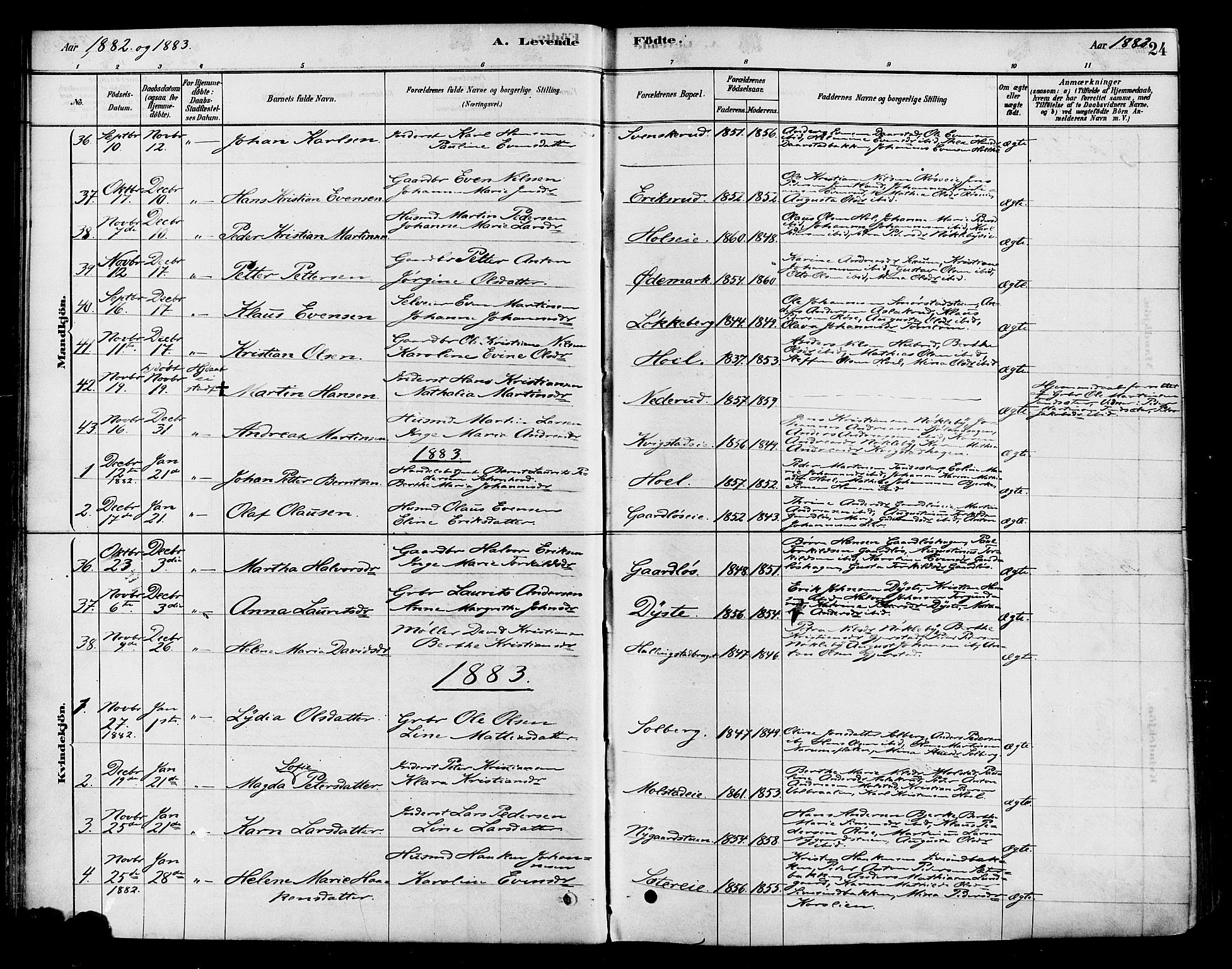 Vestre Toten prestekontor, SAH/PREST-108/H/Ha/Haa/L0010: Ministerialbok nr. 10, 1878-1894, s. 24