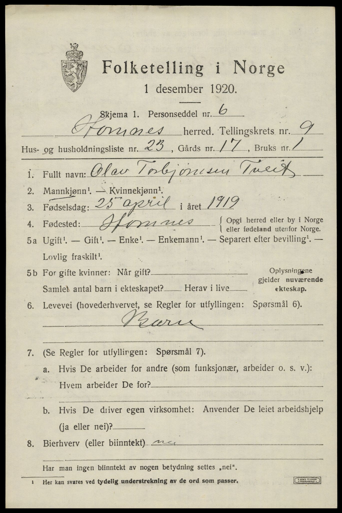 SAK, Folketelling 1920 for 0936 Hornnes herred, 1920, s. 2481