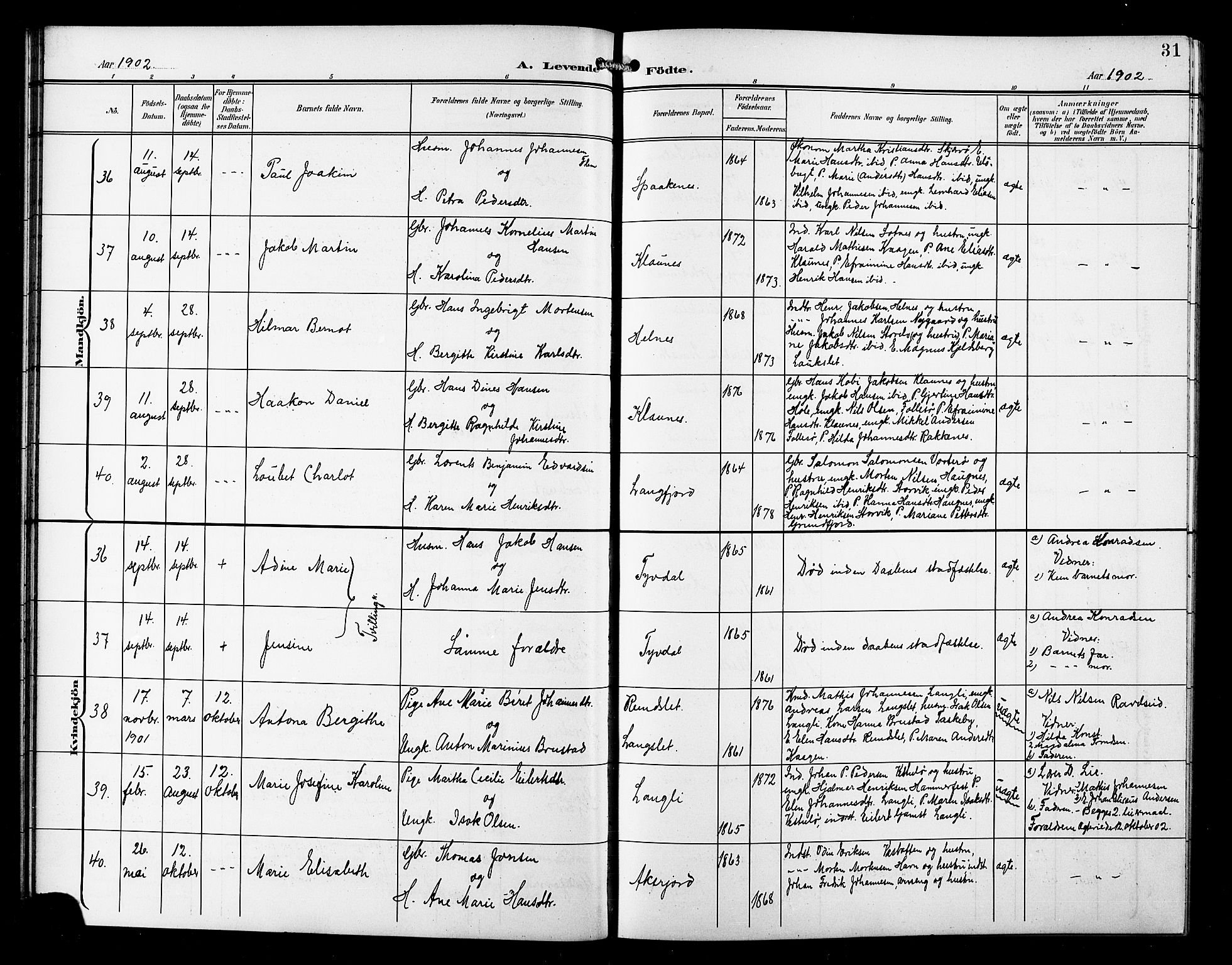 Skjervøy sokneprestkontor, AV/SATØ-S-1300/H/Ha/Hab/L0008klokker: Klokkerbok nr. 8, 1900-1910, s. 31