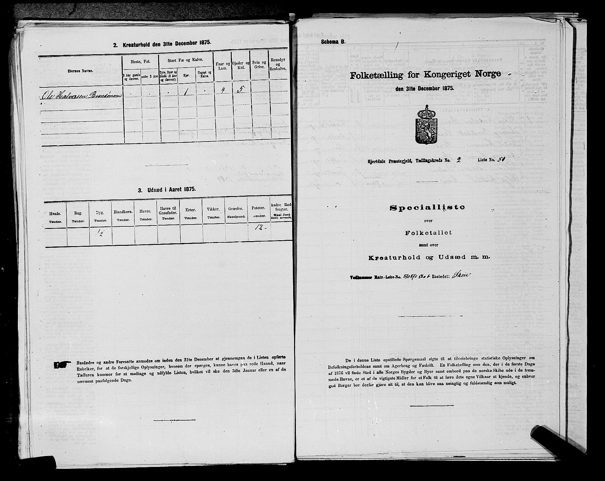 SAKO, Folketelling 1875 for 0827P Hjartdal prestegjeld, 1875, s. 307