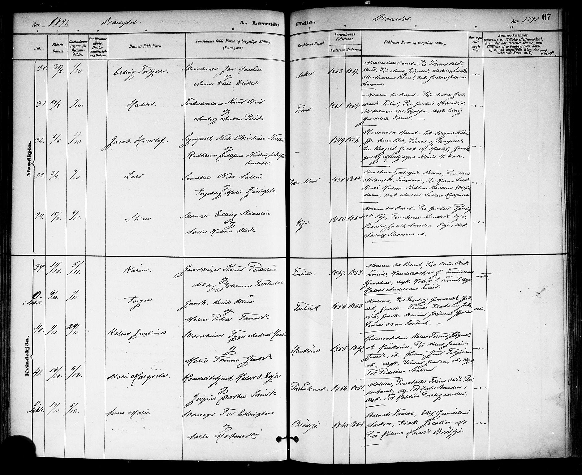 Drangedal kirkebøker, AV/SAKO-A-258/F/Fa/L0010: Ministerialbok nr. 10 /1, 1885-1894, s. 67