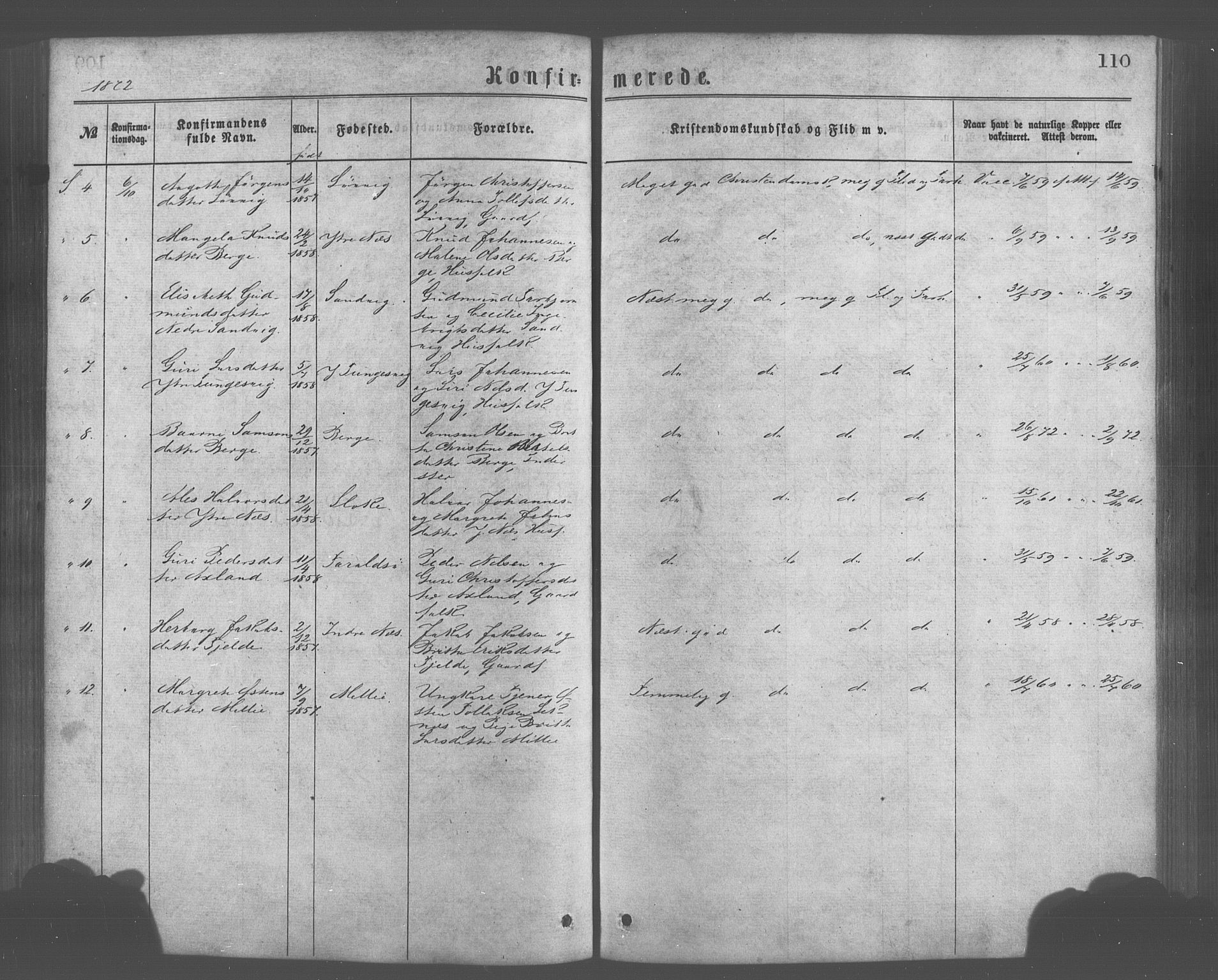 Skånevik sokneprestembete, AV/SAB-A-77801/H/Haa: Ministerialbok nr. A 6, 1869-1878, s. 110
